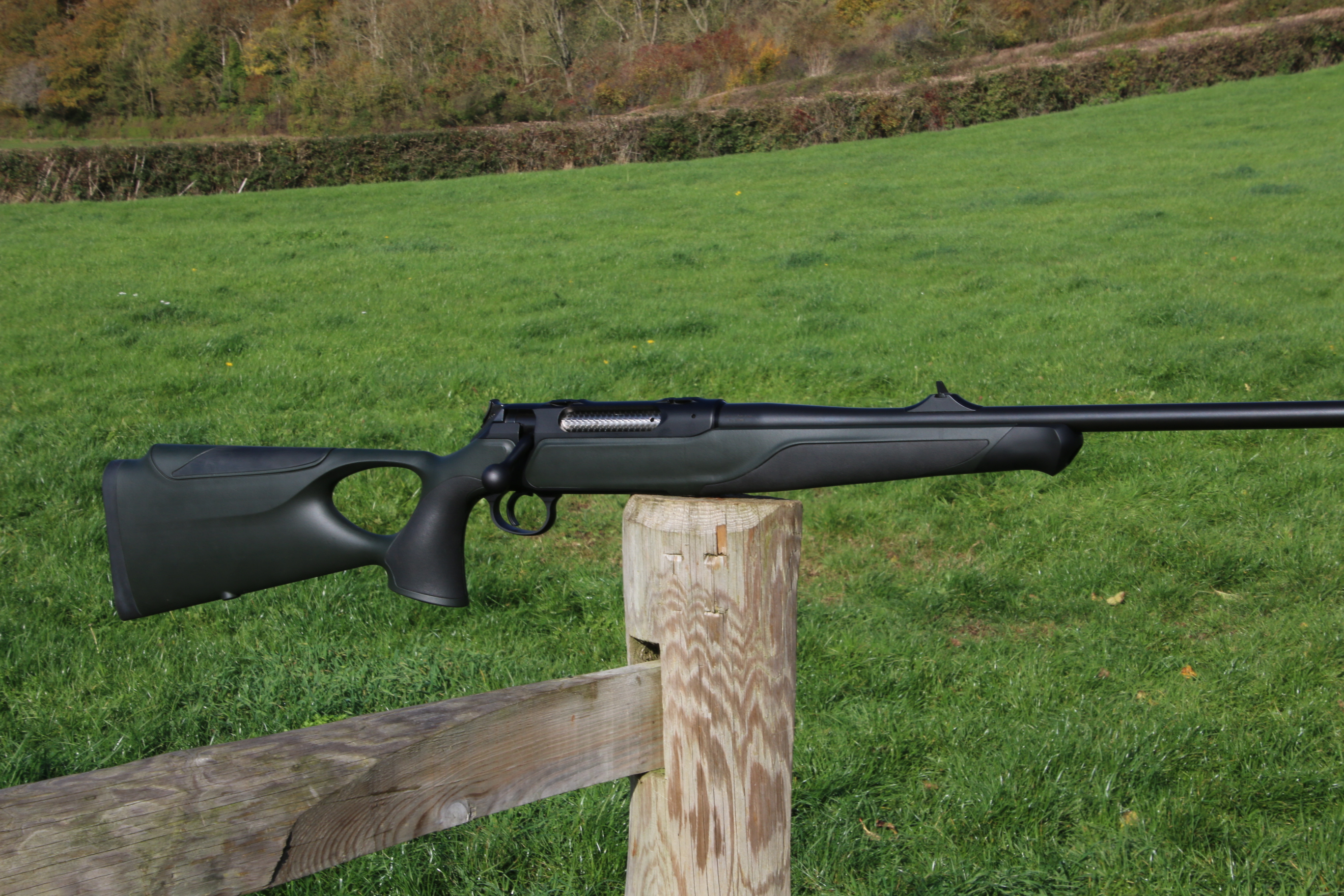 Sauer 404