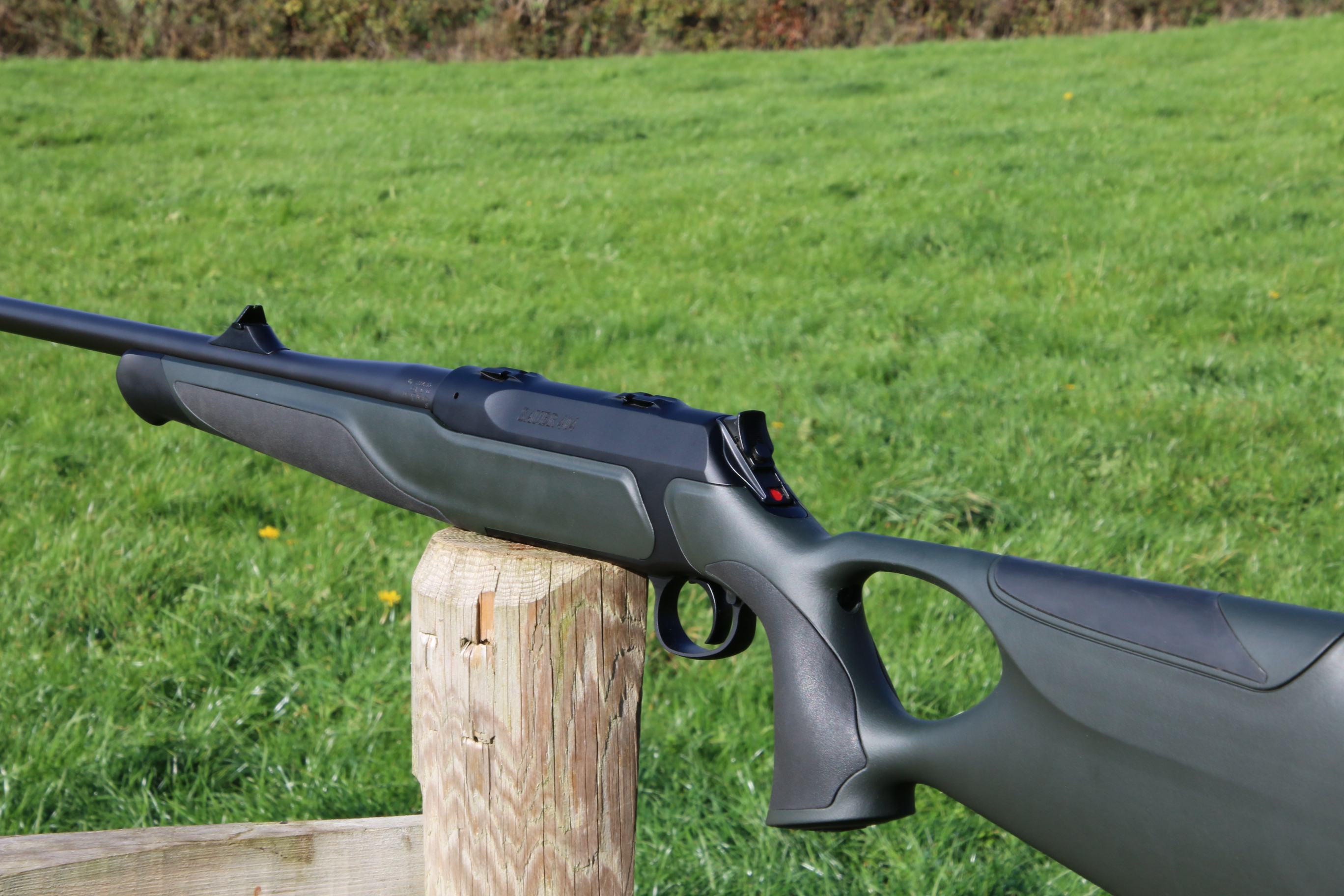 Sauer 404