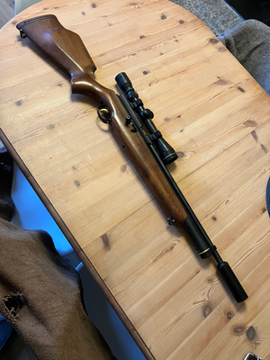 Firearm: Webley Raider 