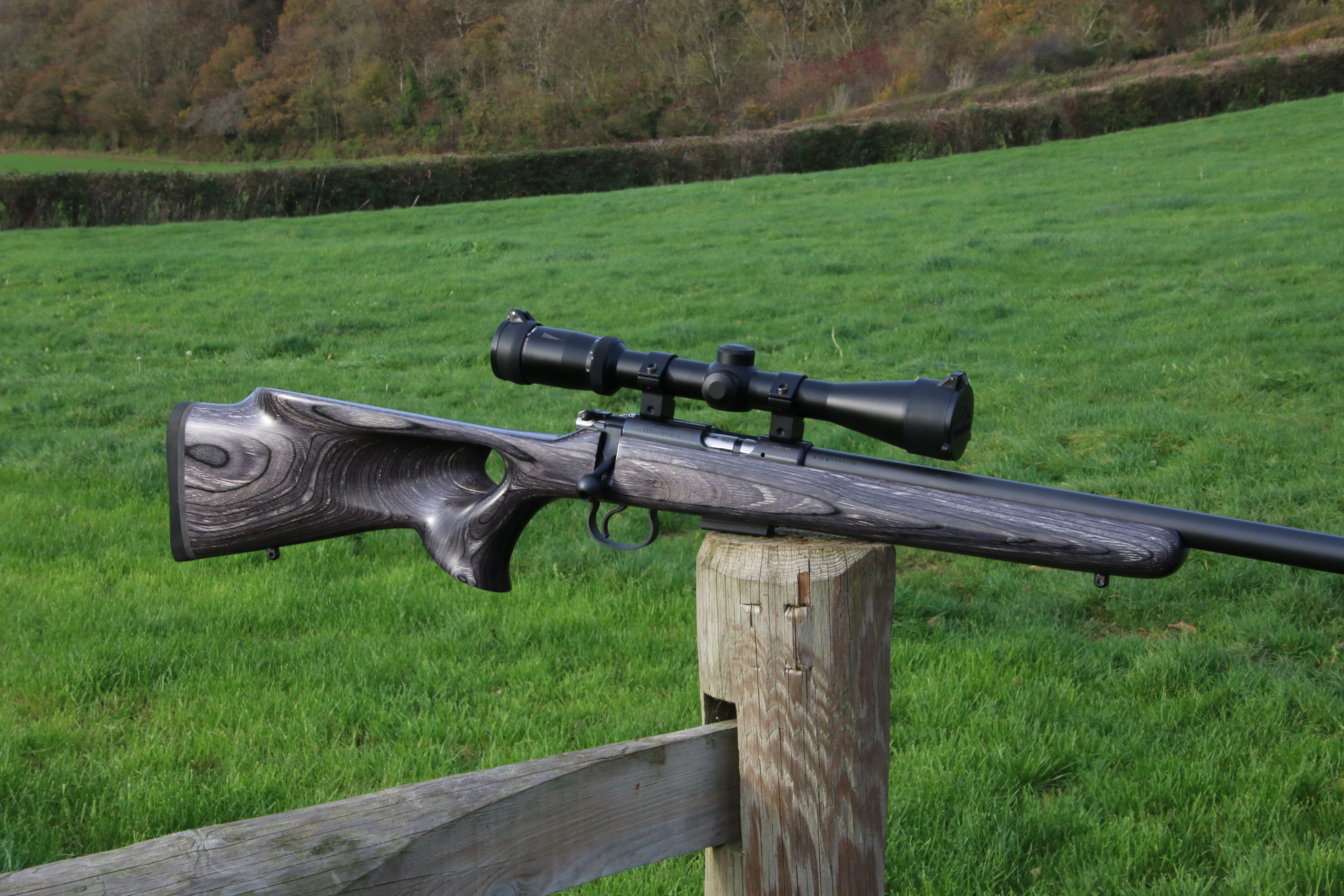 CZ 455