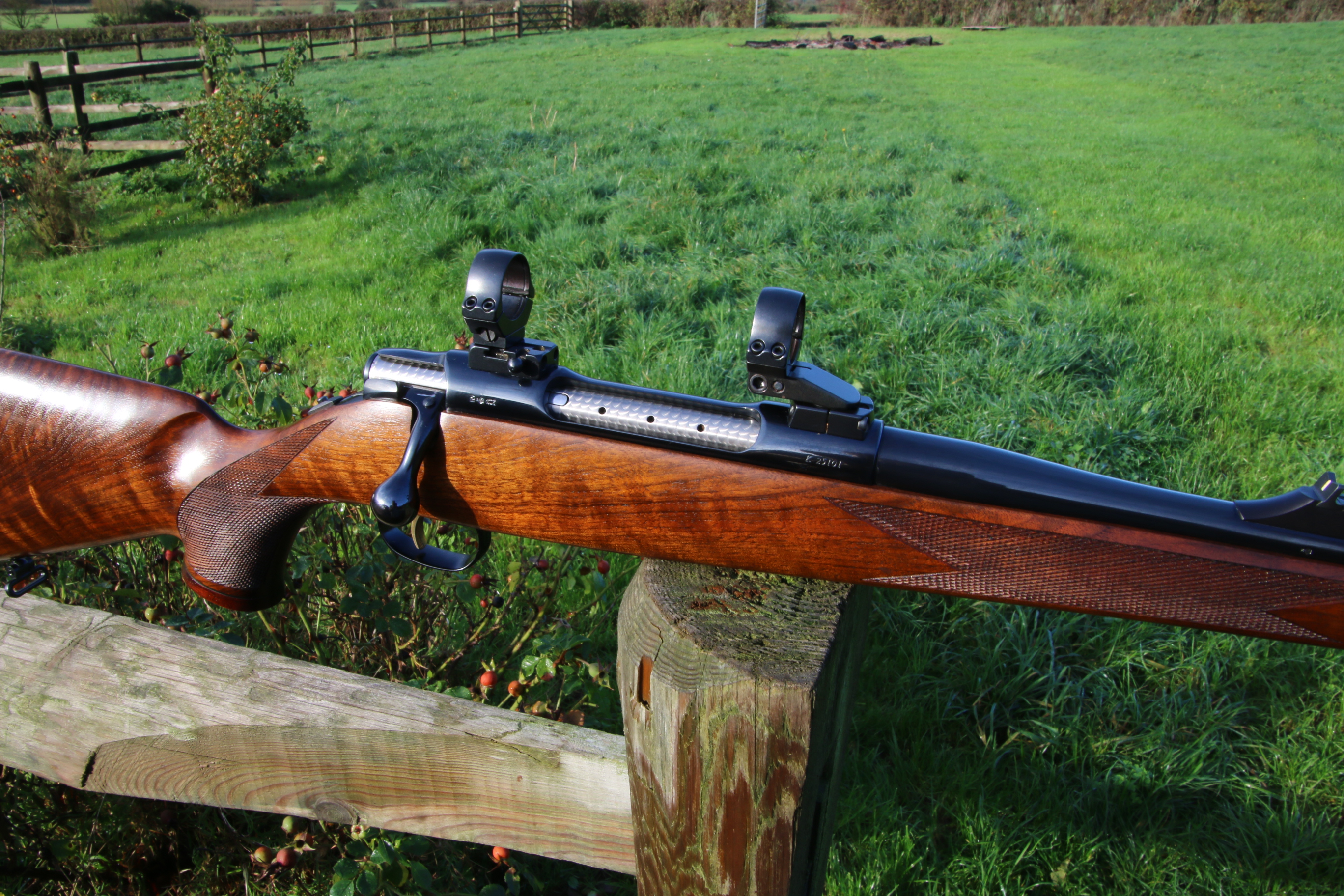 Sauer 90 Elegance Magnum