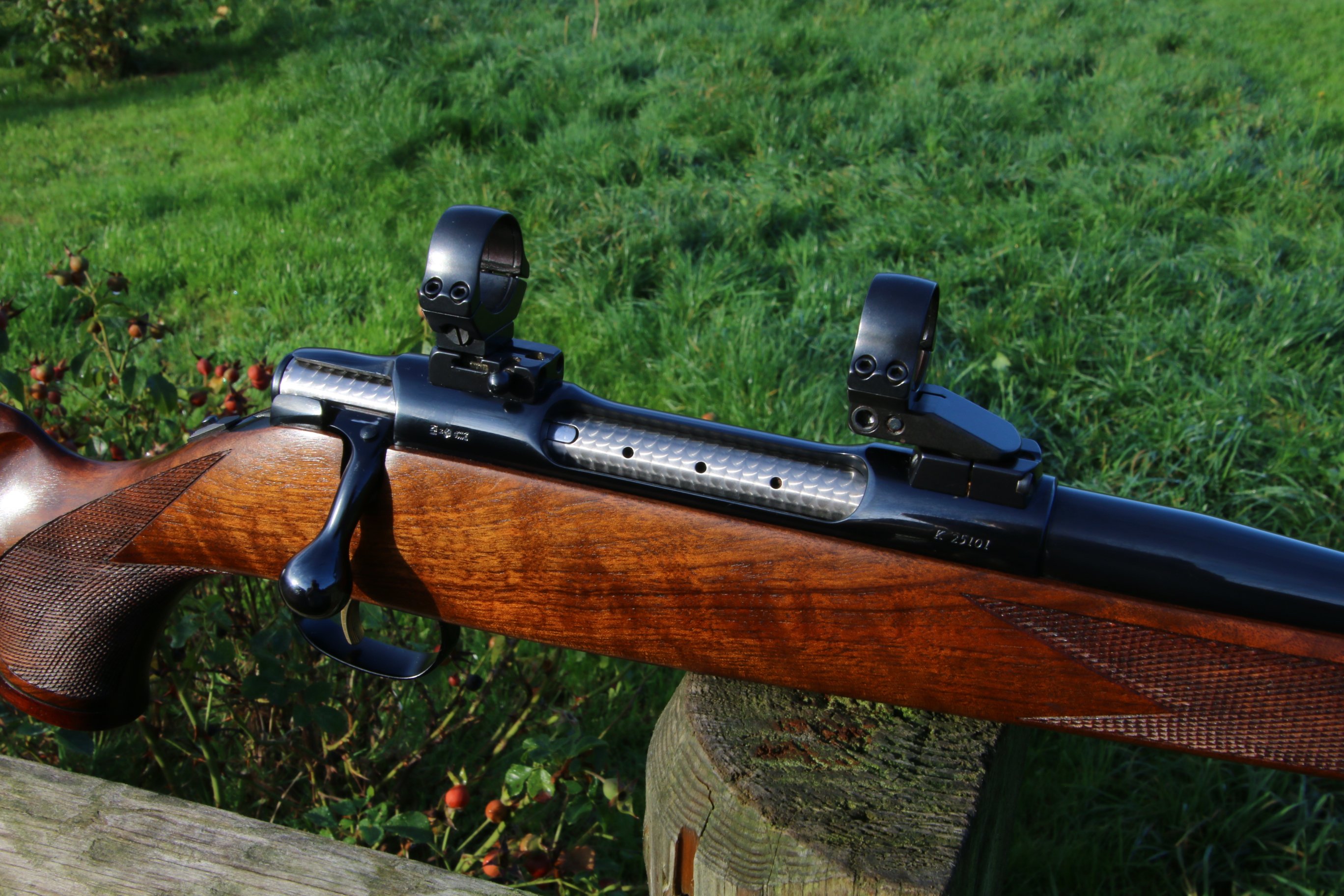 Sauer 90 Elegance Magnum