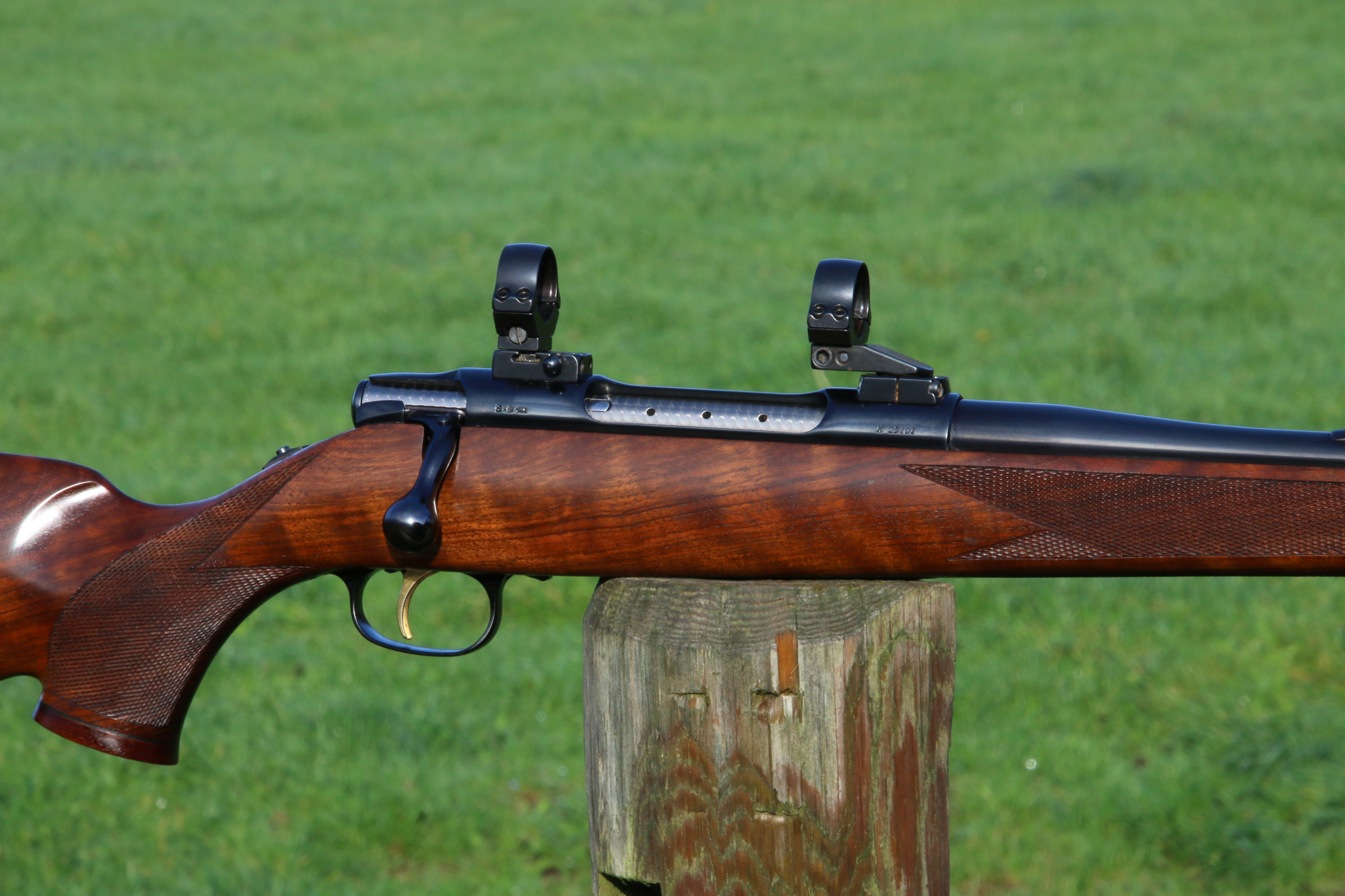Sauer 90 Elegance Magnum