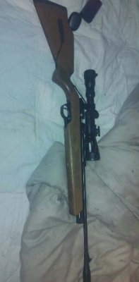 Firearm: SMK General 