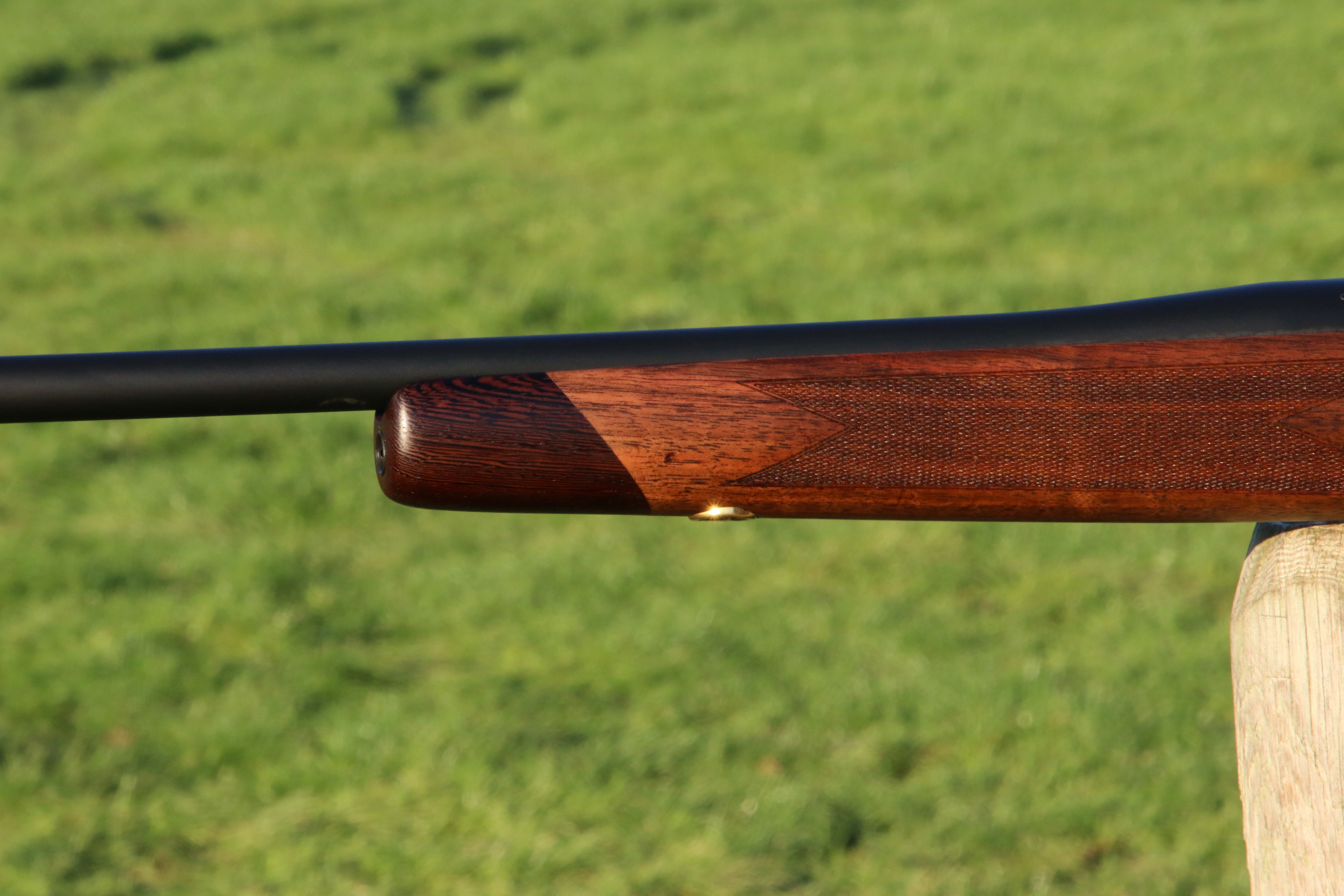 Sauer 202