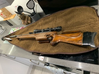 Firearm: Unbranded General 