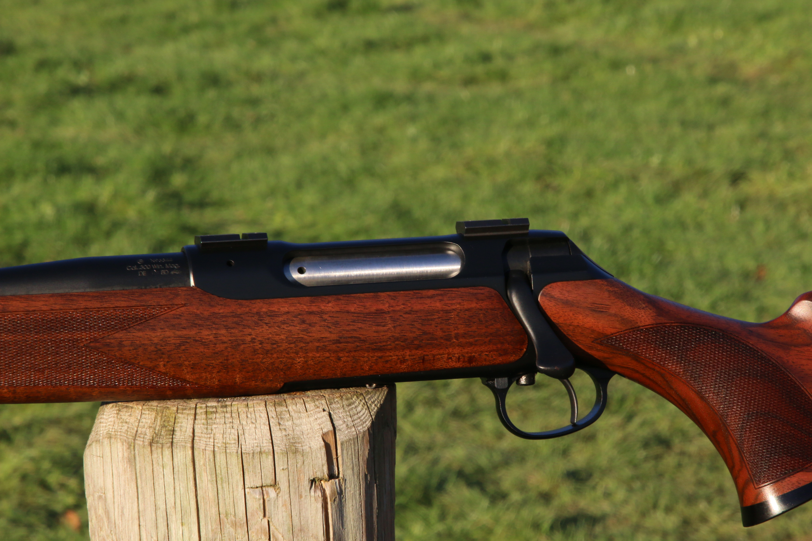Sauer 202