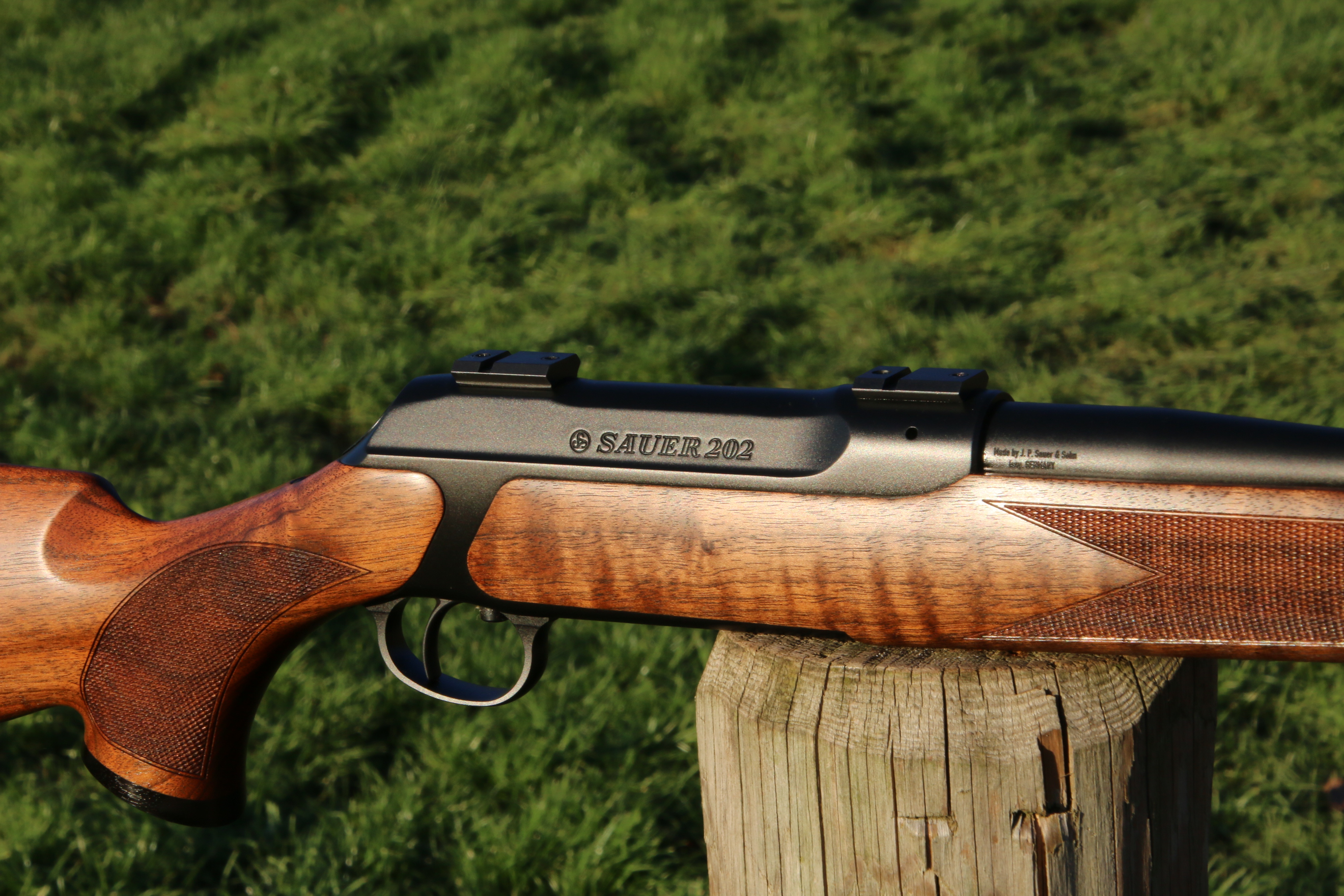 Sauer 202
