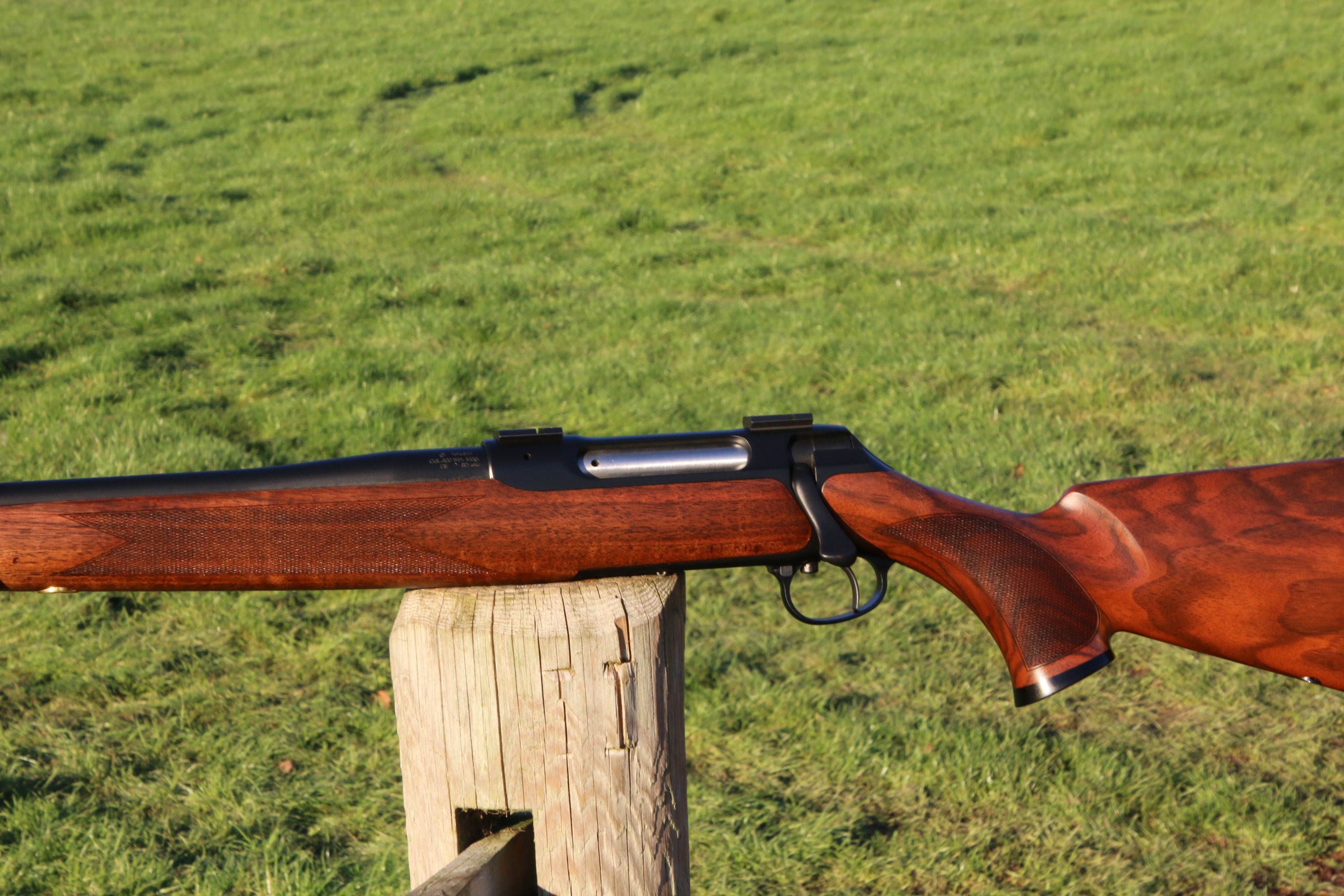 Sauer 202
