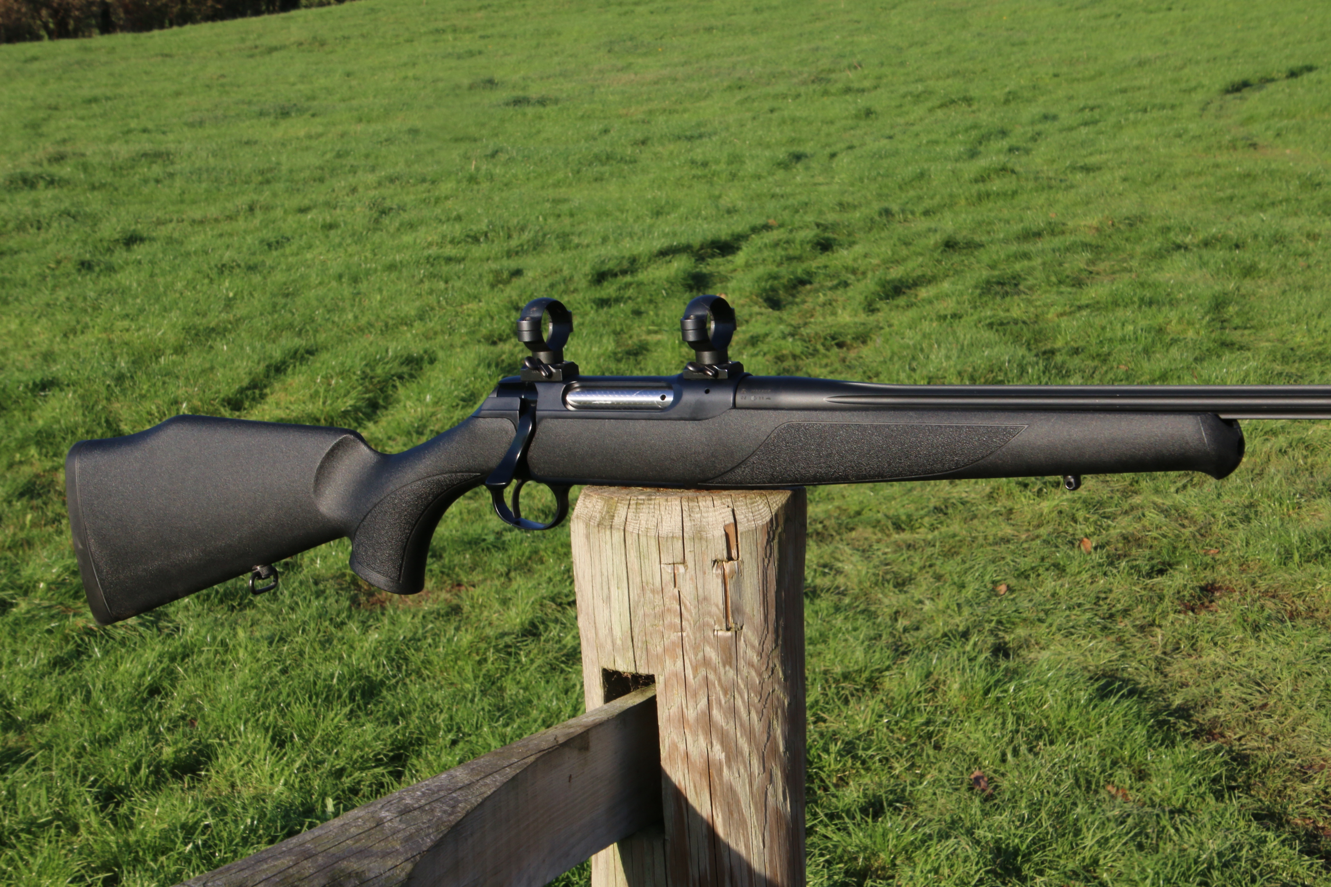 Sauer 202