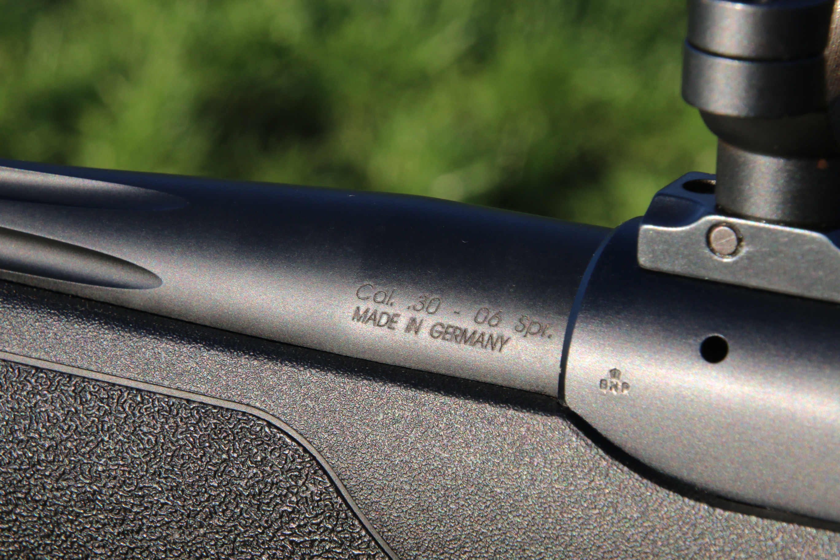 Sauer 202