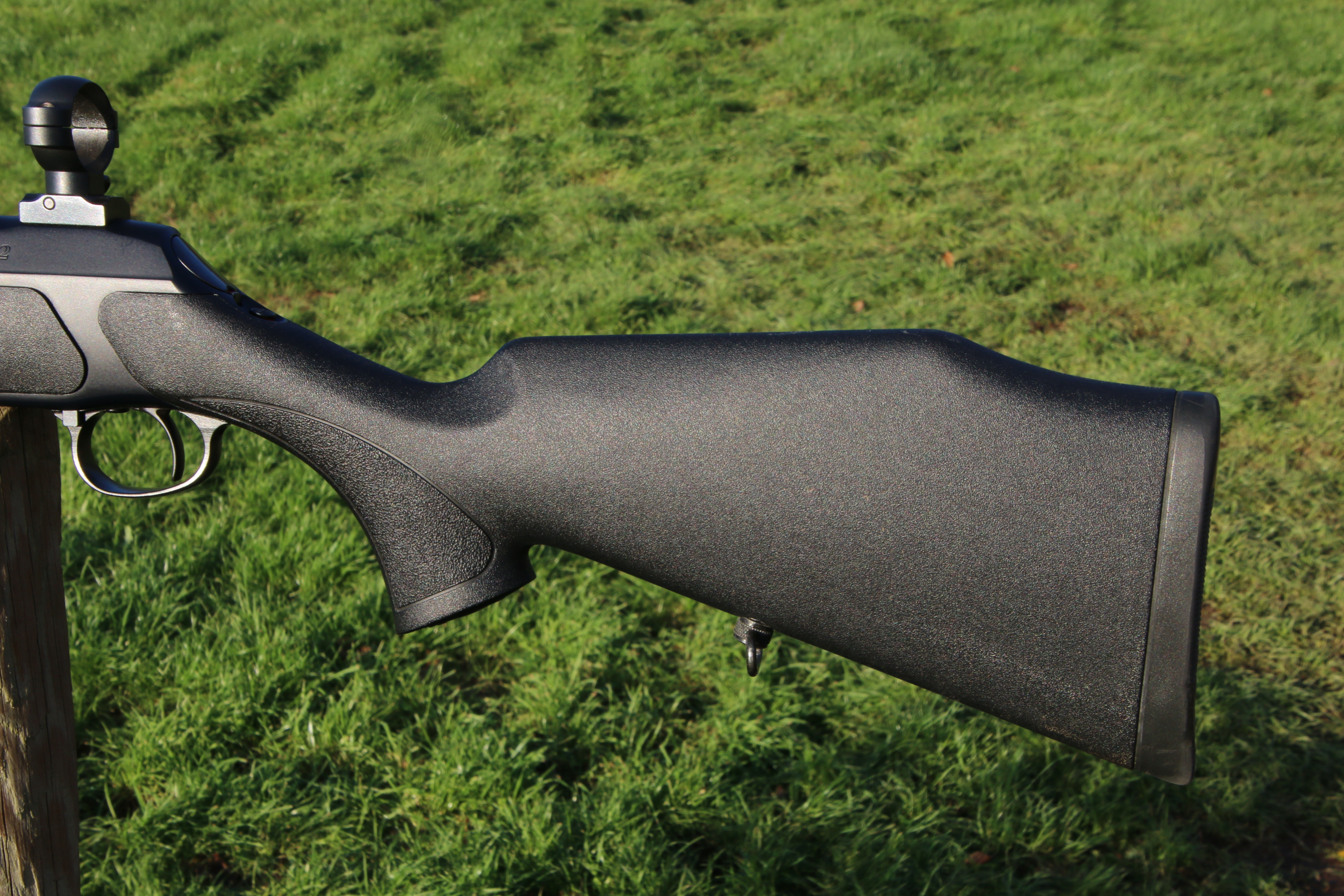 Sauer 202