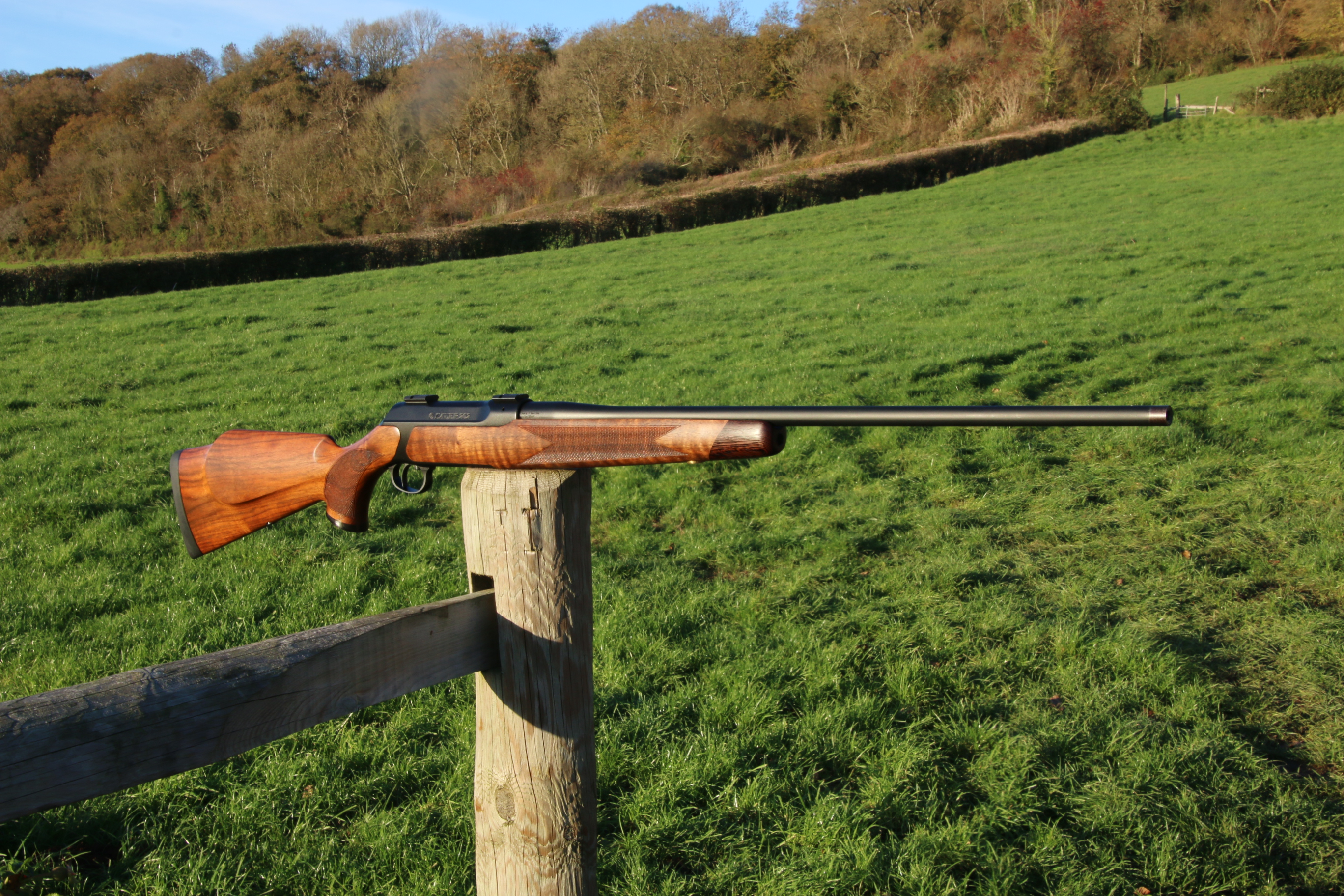 Sauer 202