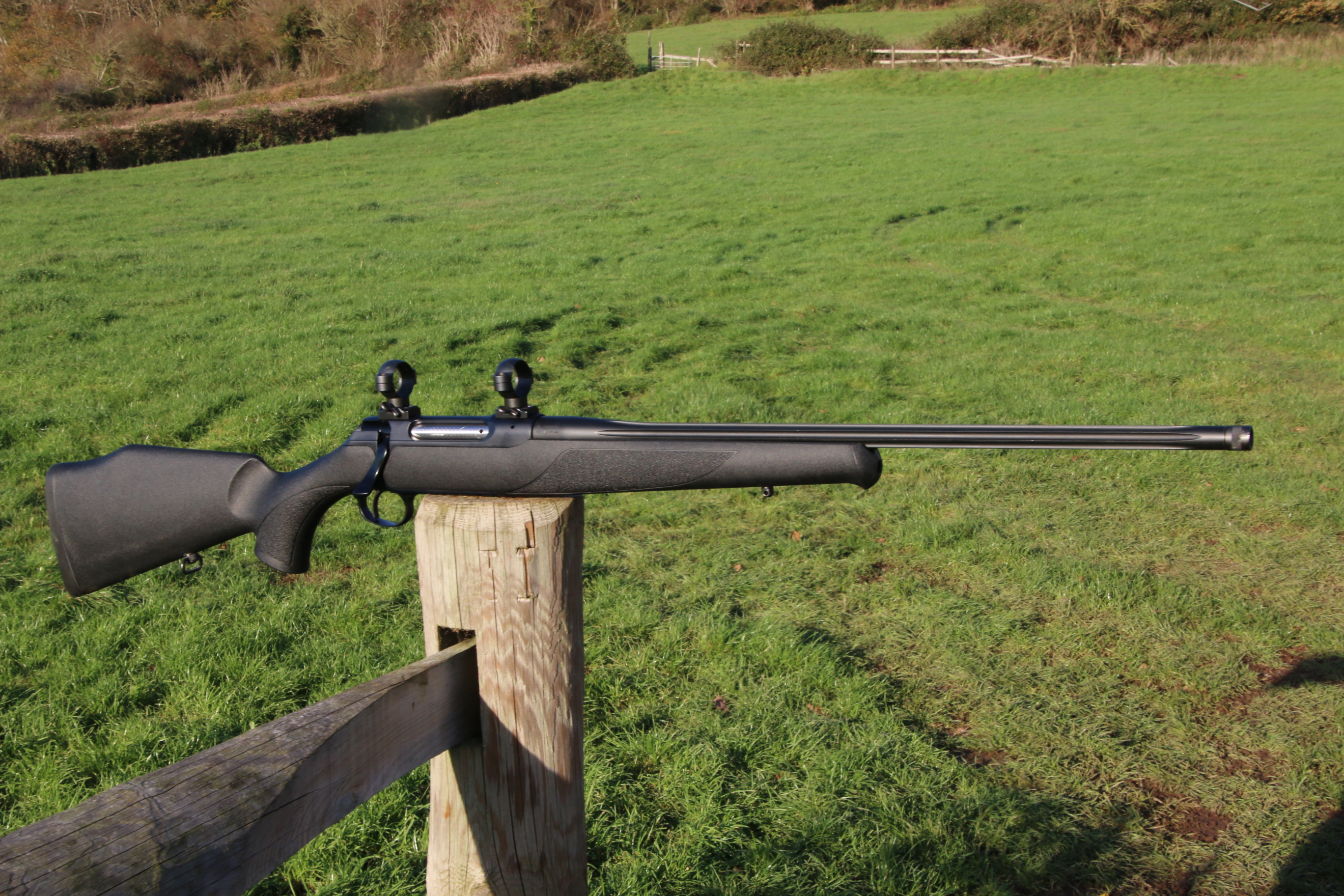 Sauer 202