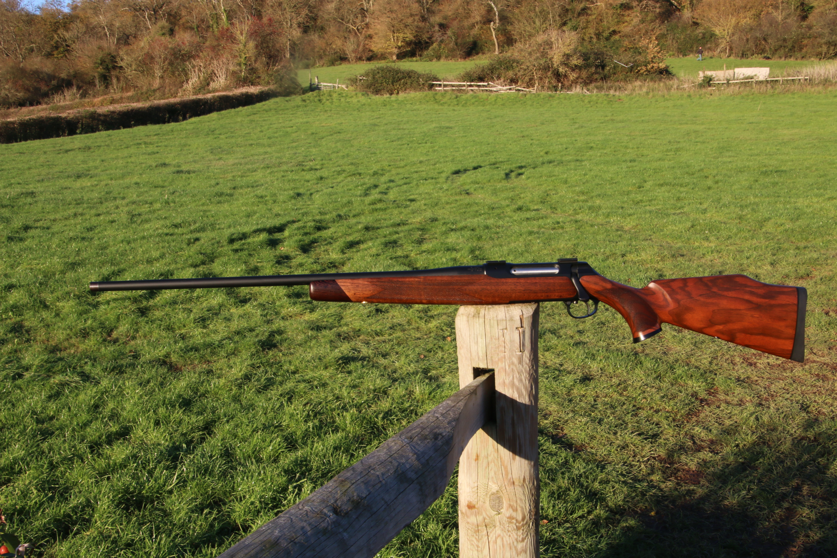 Sauer 202