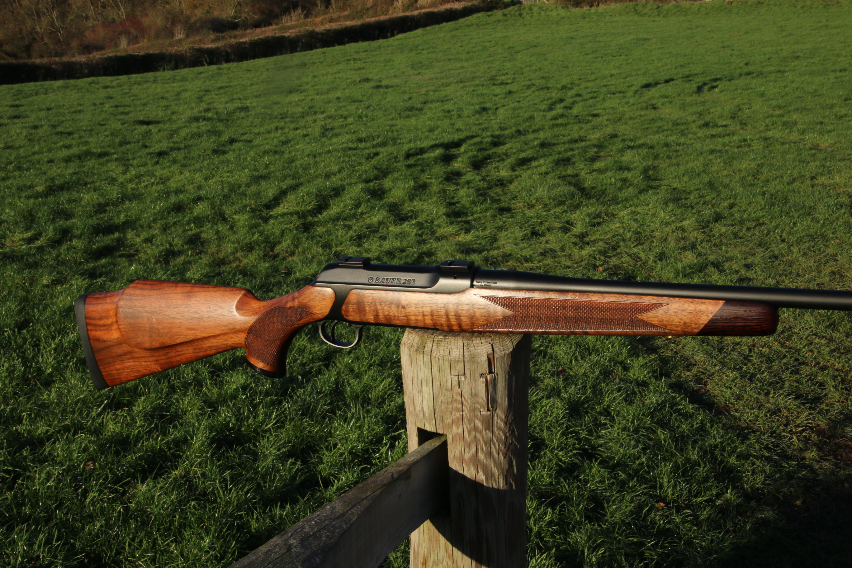 Sauer 202