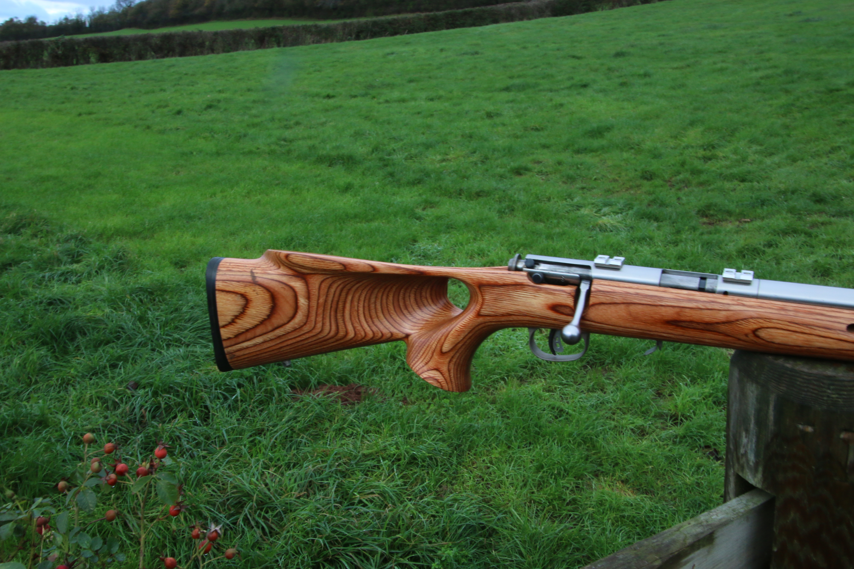 Savage Arms 93R17