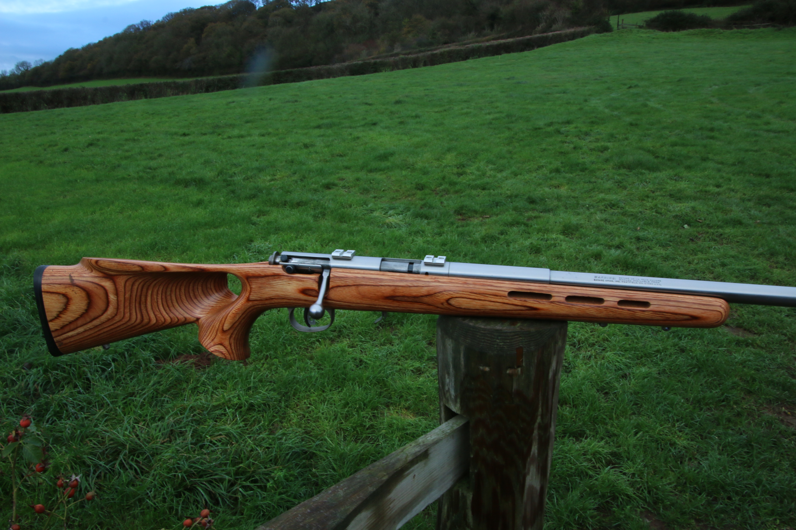 Savage Arms 93R17