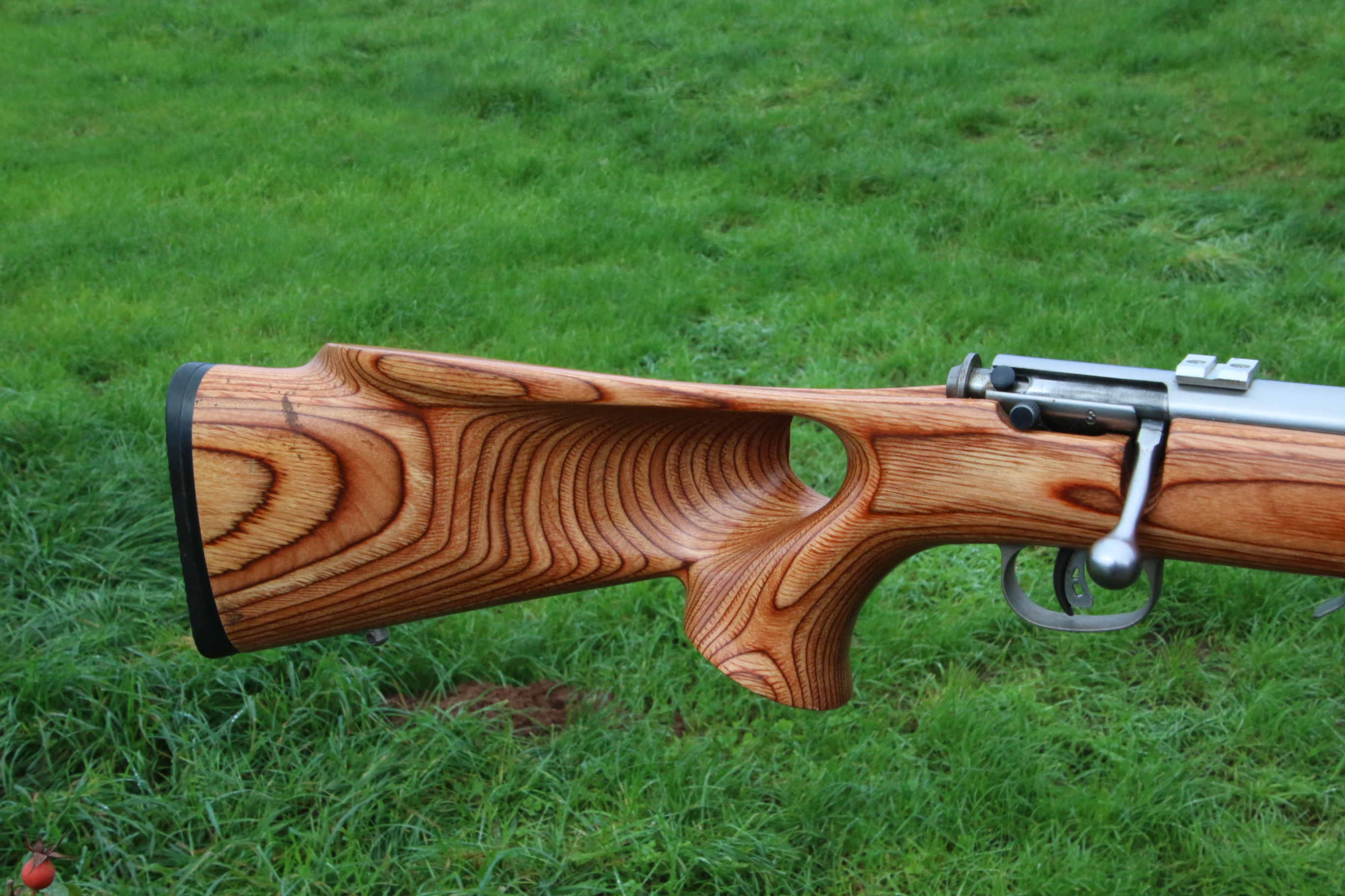 Savage Arms 93R17