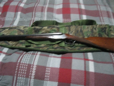 Firearm: Sabel Ejector side lock