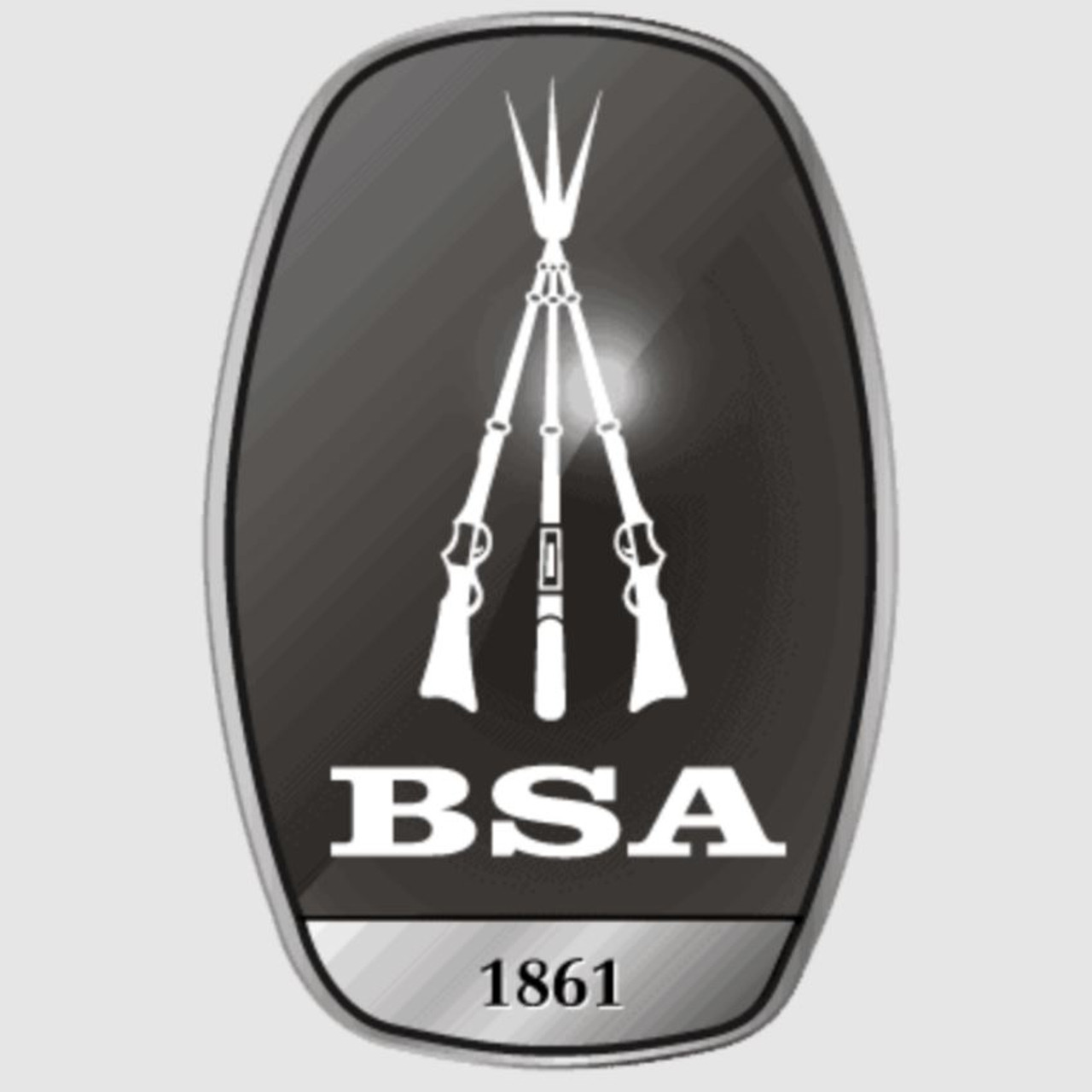 BSA Polaris Match Grade Competition