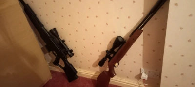 Firearm: Weihrauch HW 95 