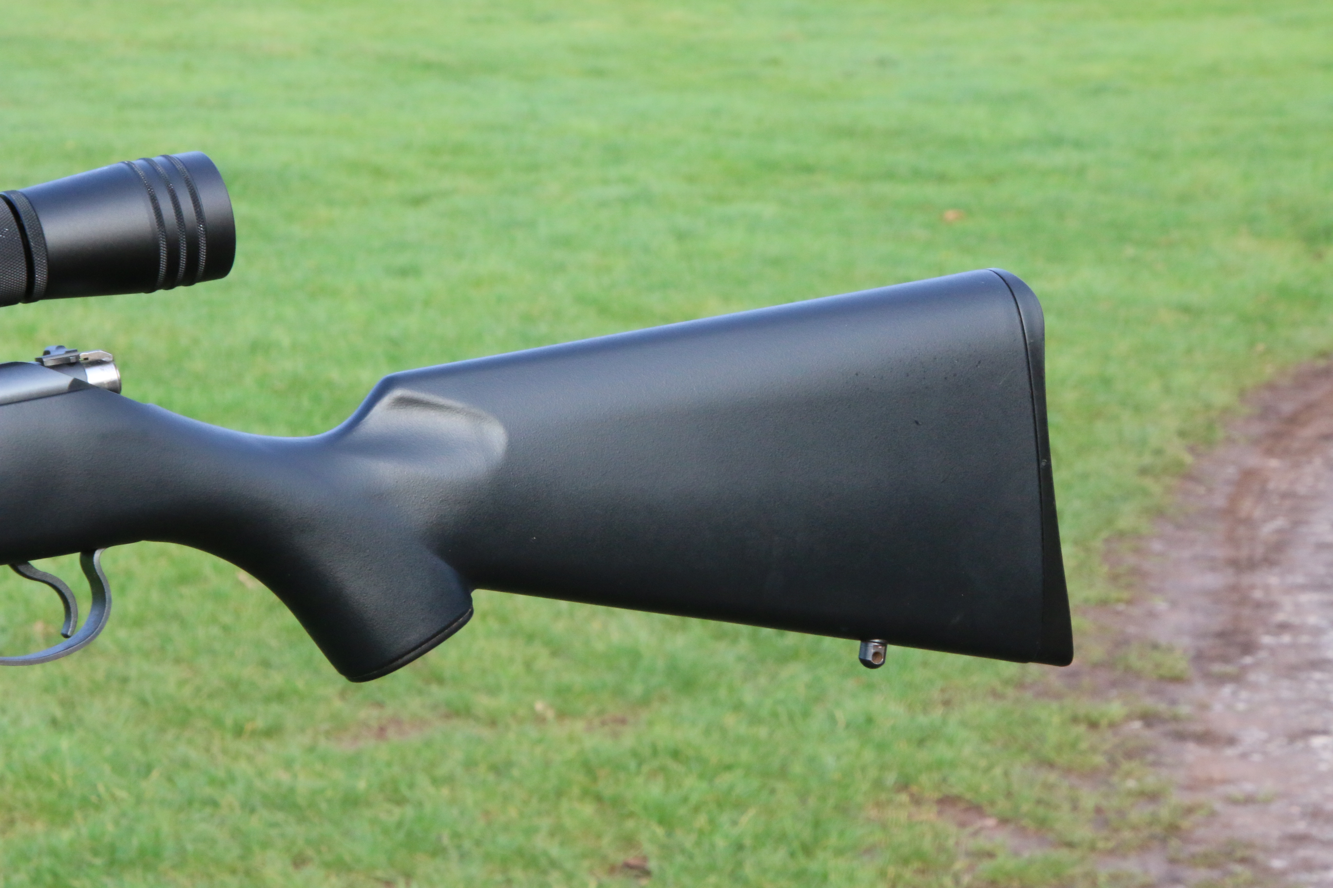 CZ 455