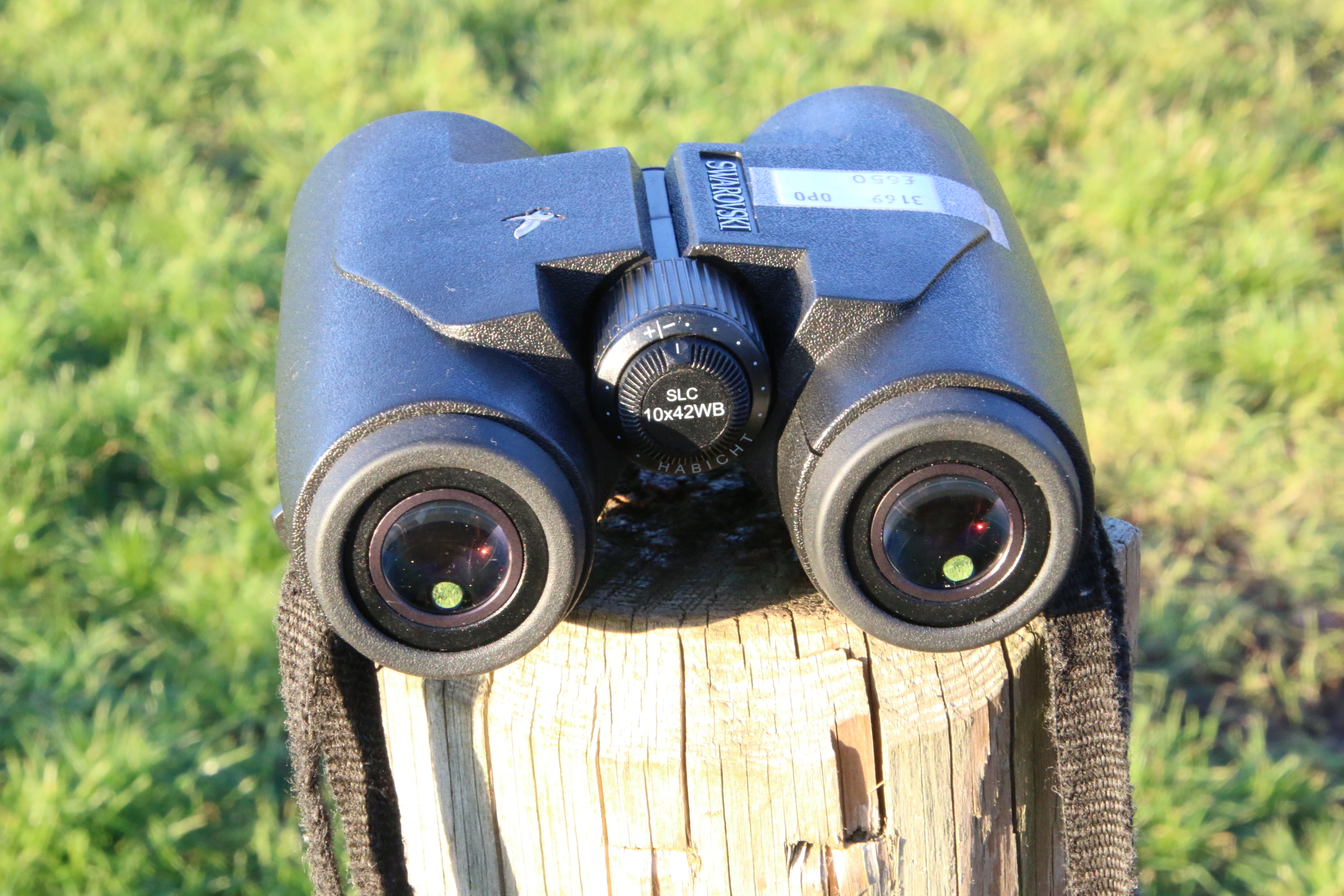 Swarovski SLC