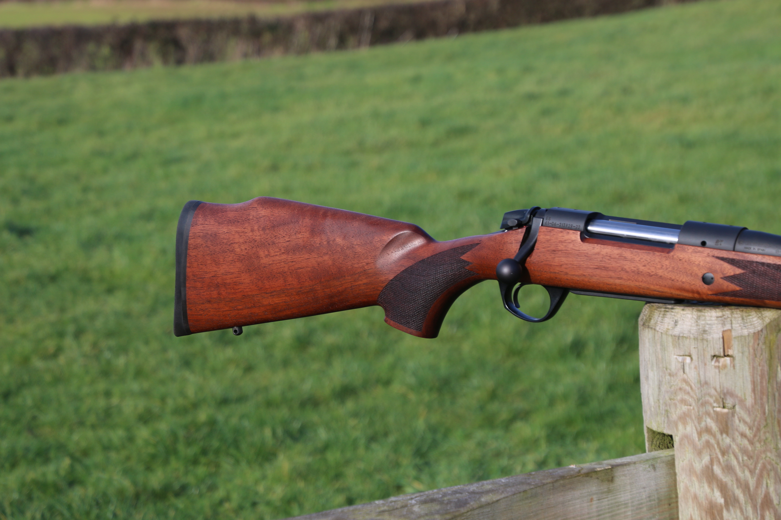 Bergara B14