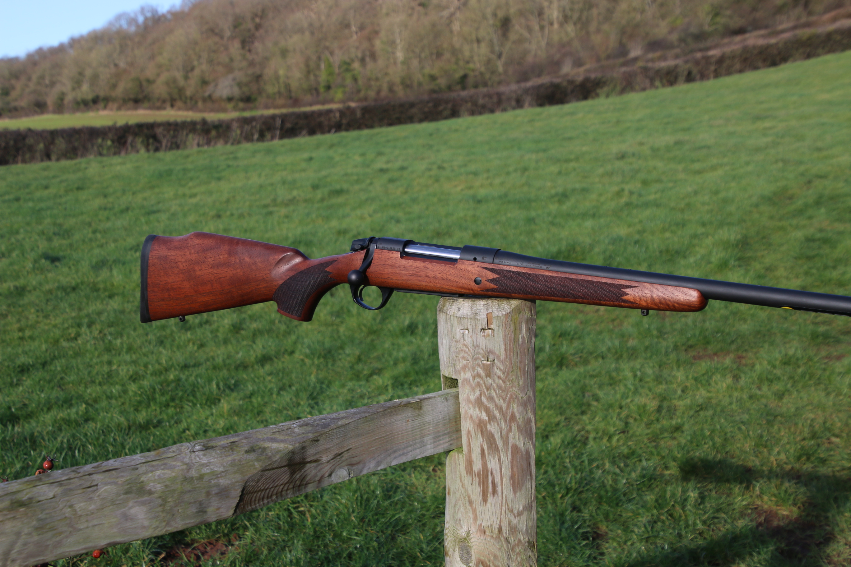 Bergara B14