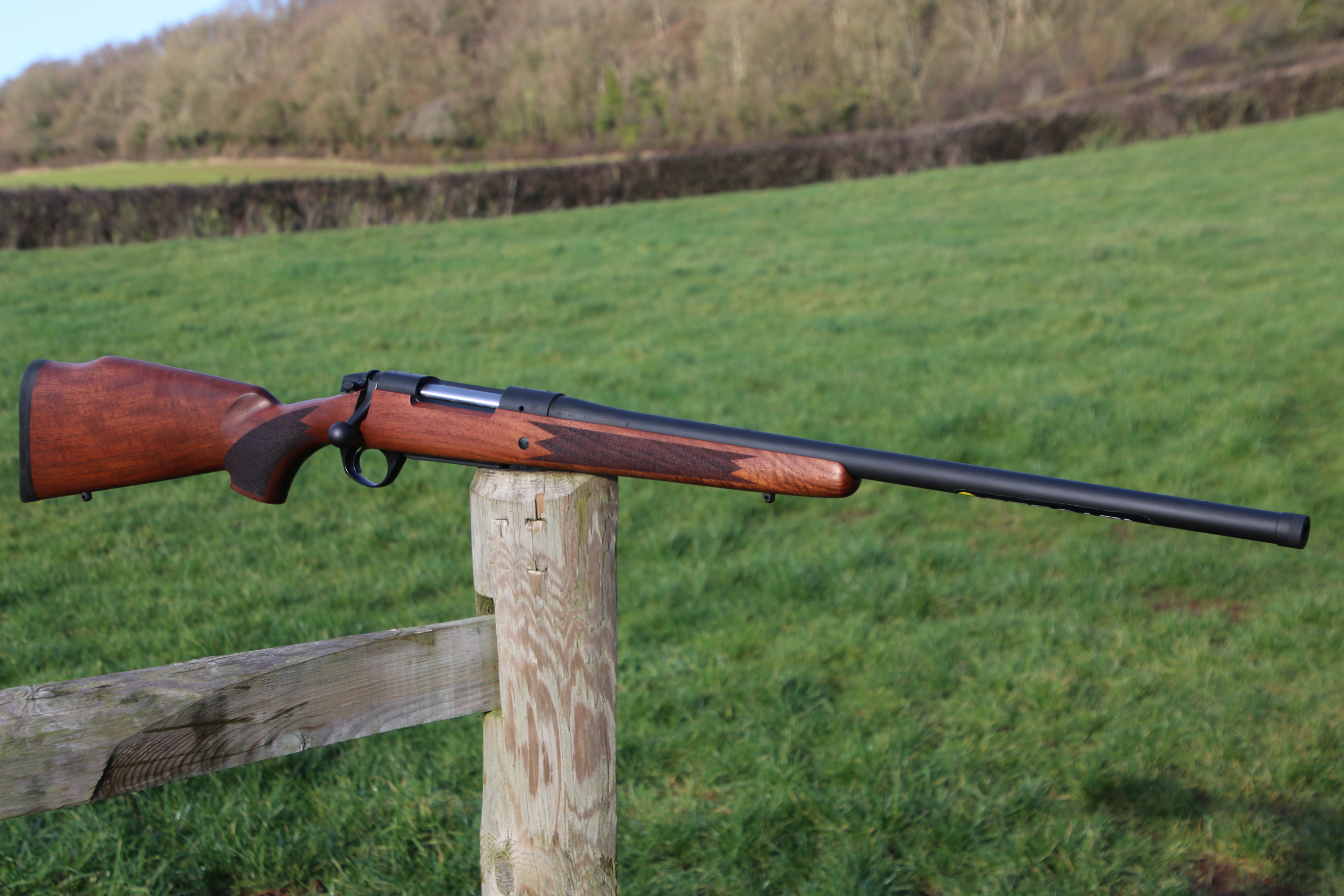 Bergara B14