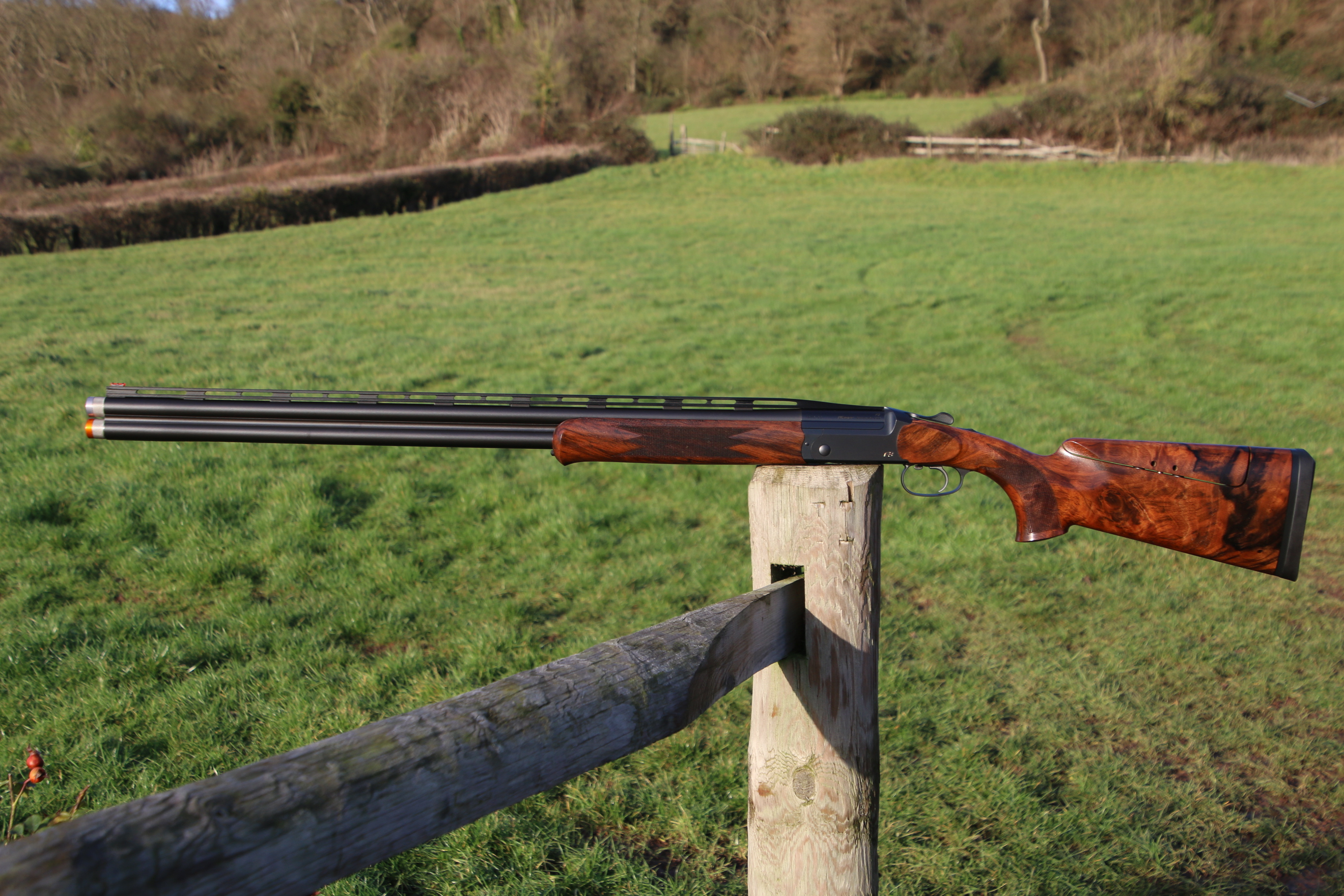 Blaser F3