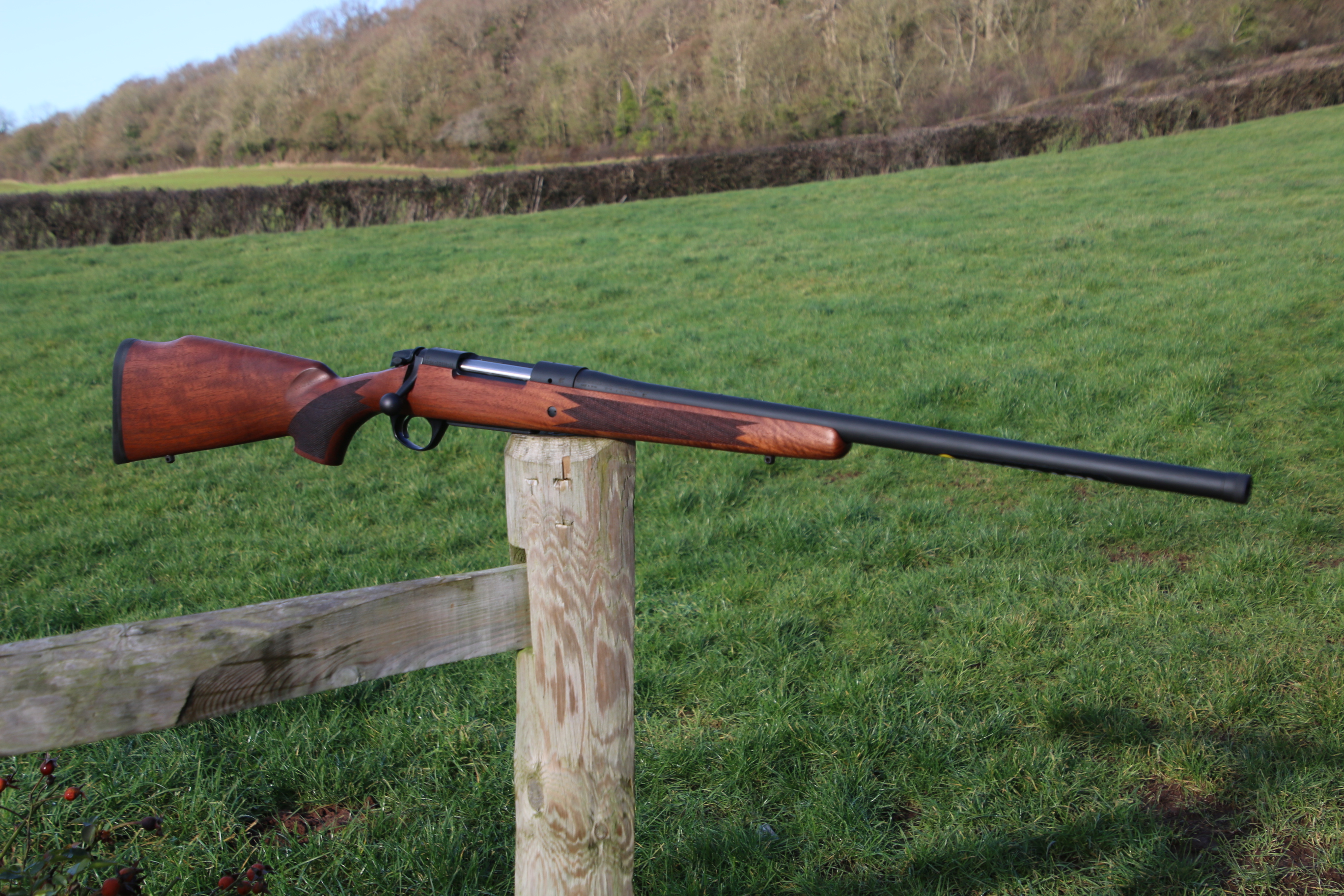 Bergara B14