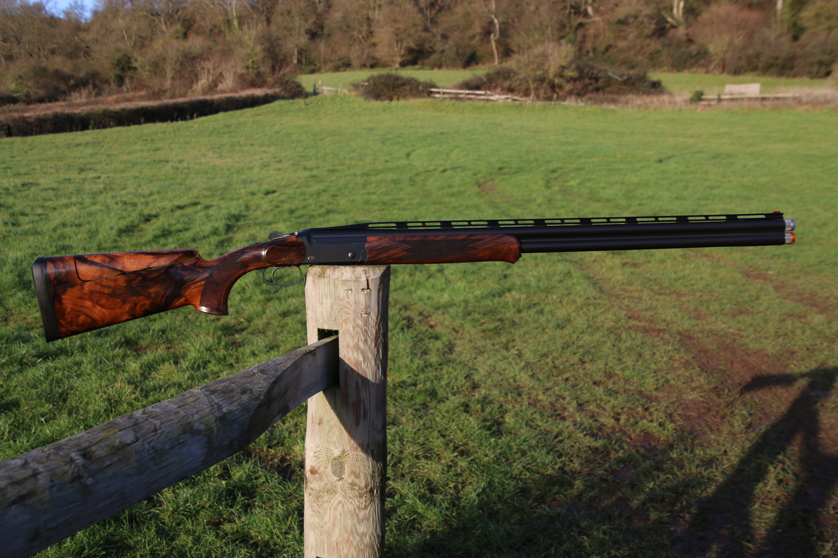 Blaser F3