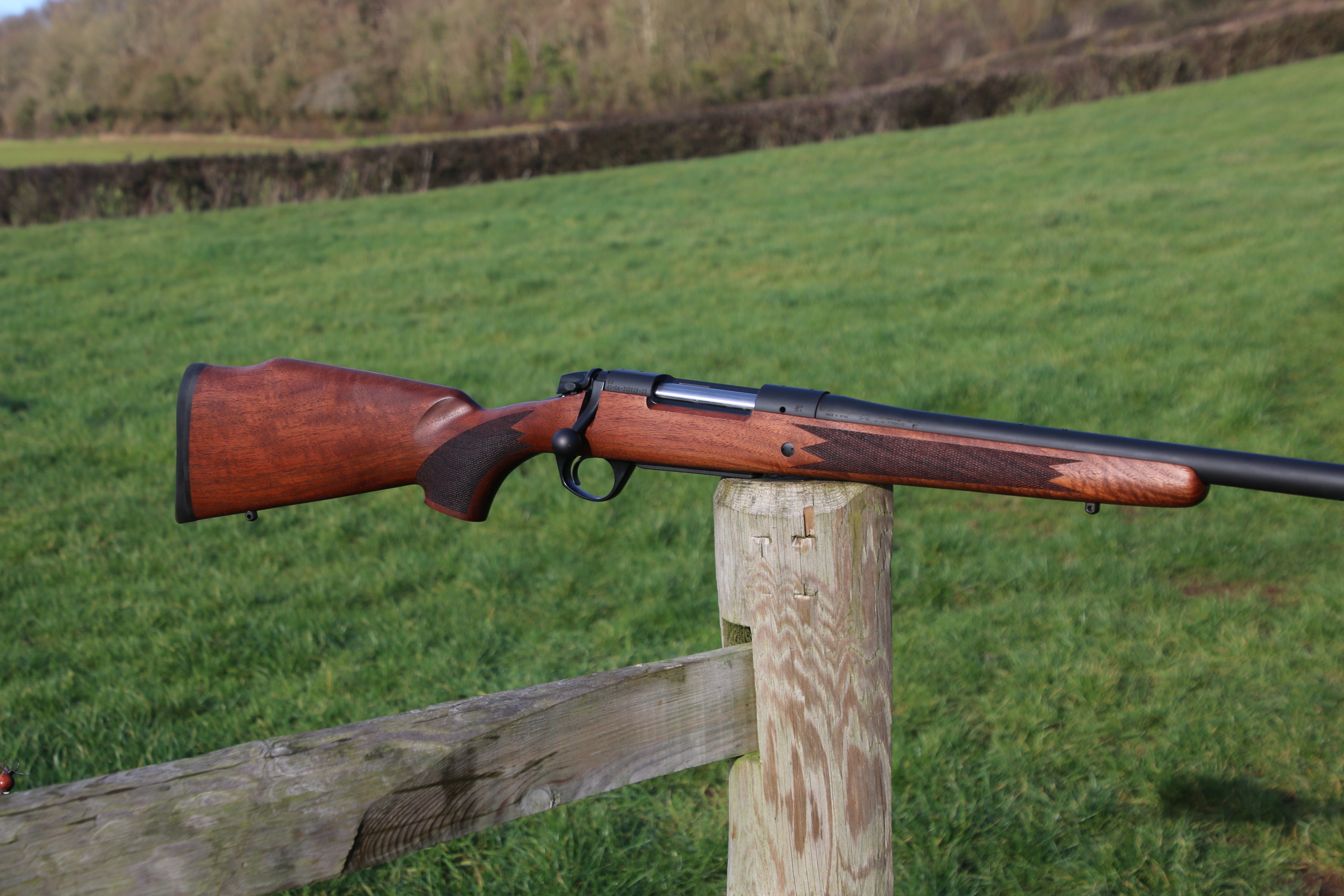 Bergara B14