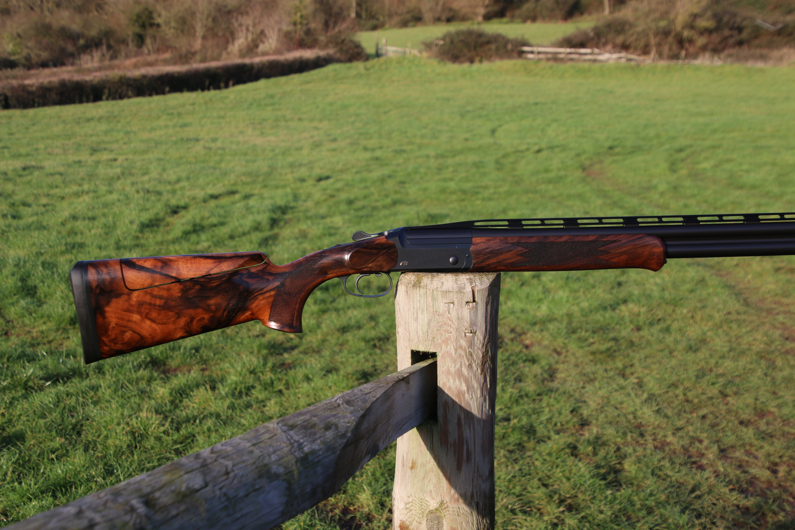 Blaser F3