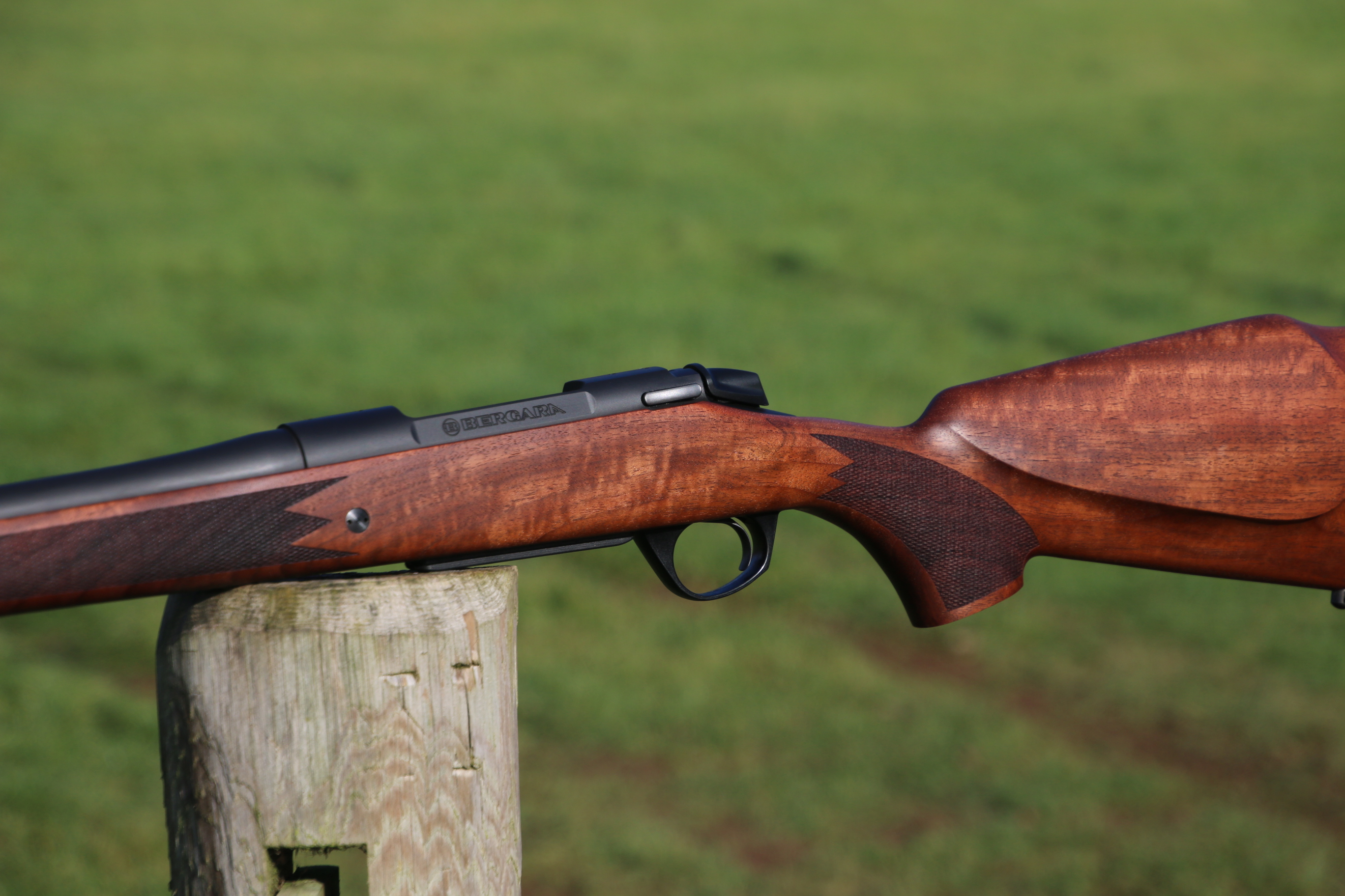 Bergara B14