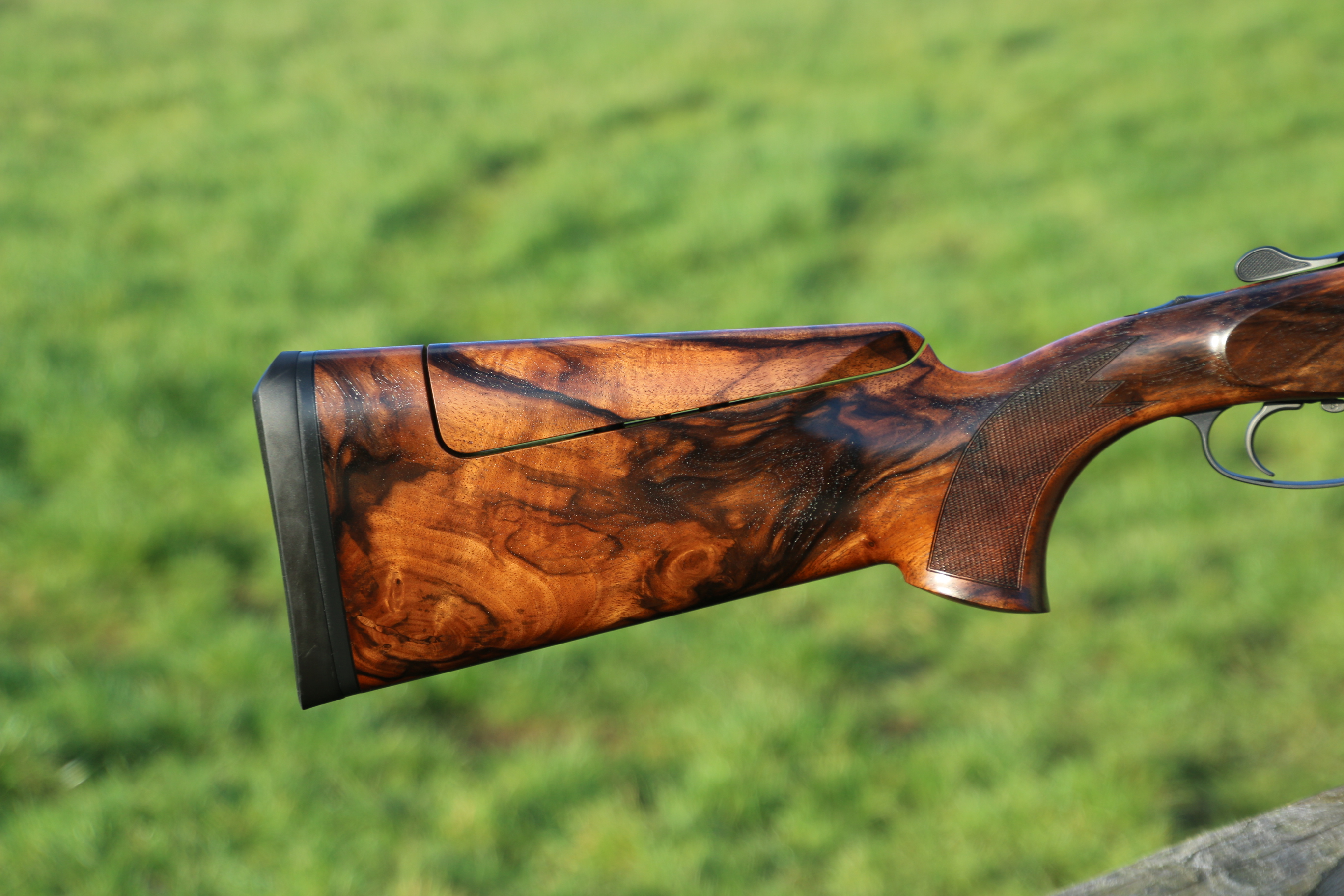 Blaser F3