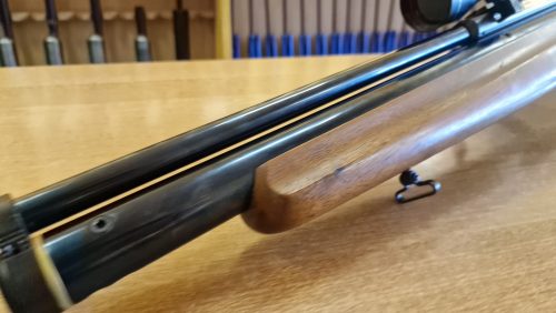 Webley Raider