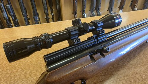 Webley Raider