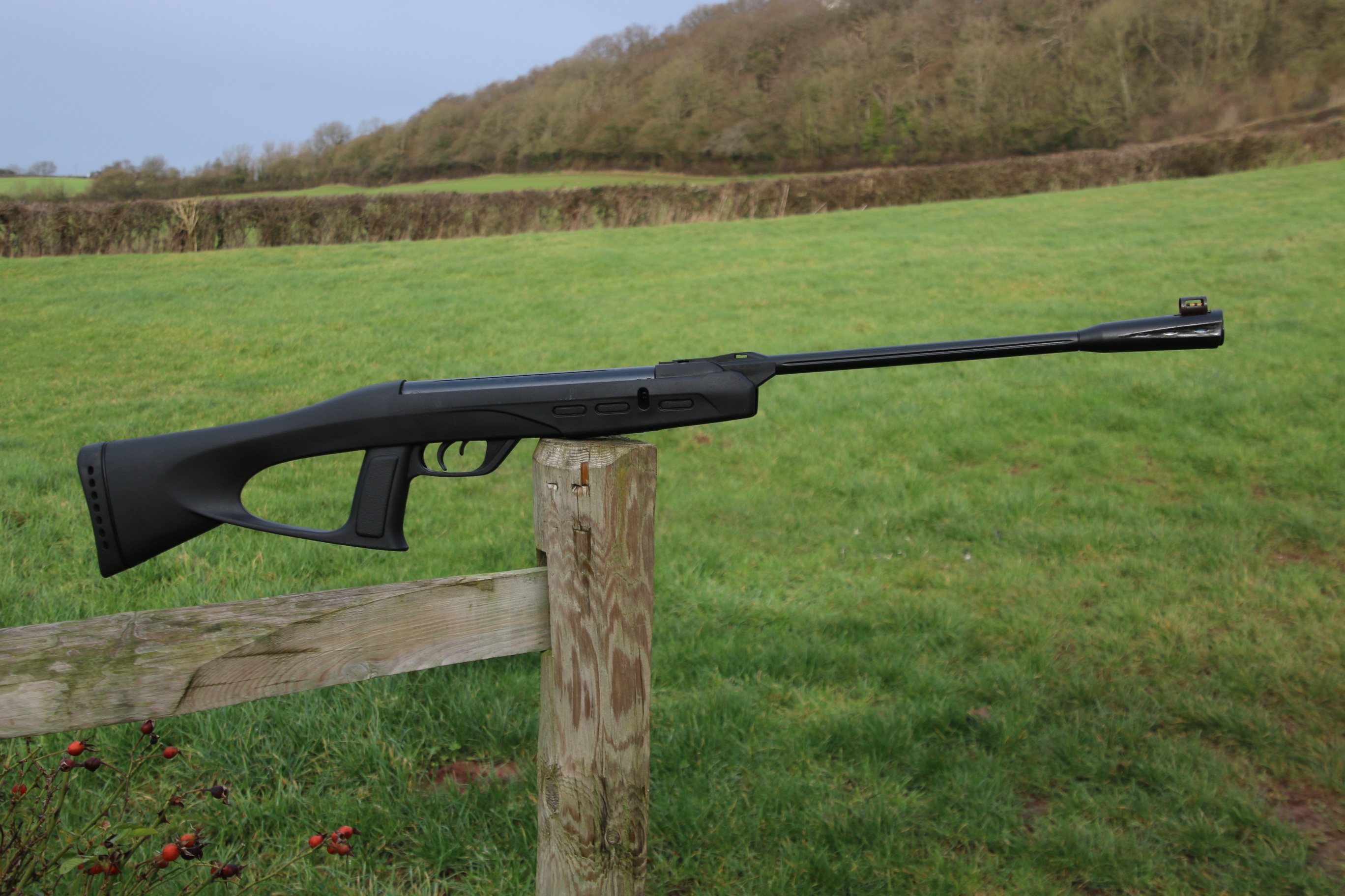 Gamo Delta