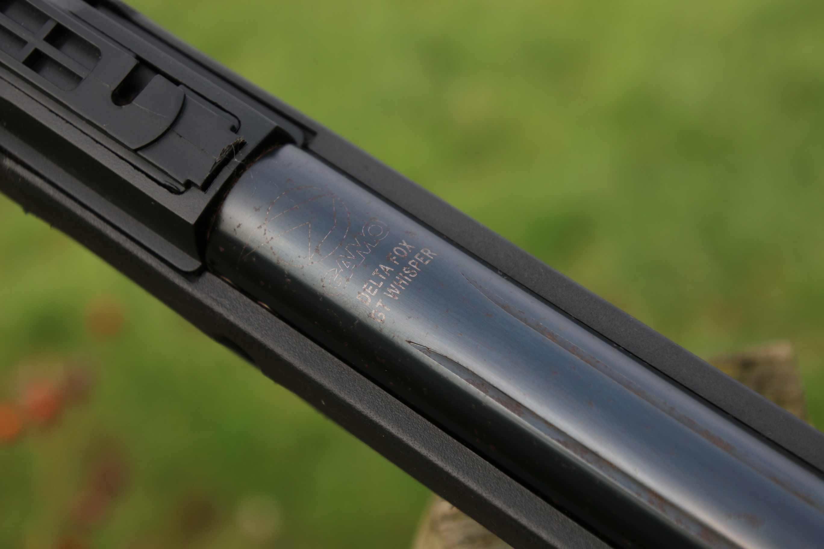 Gamo Delta