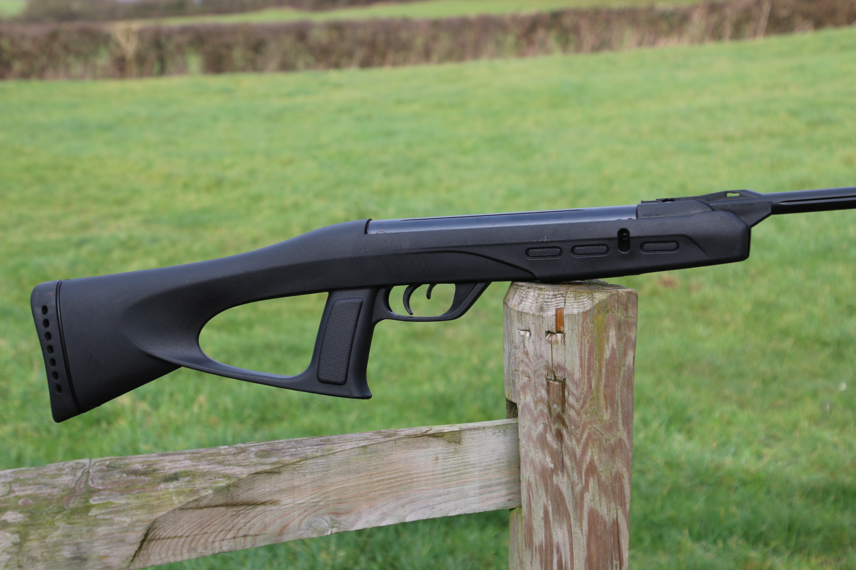 Gamo Delta