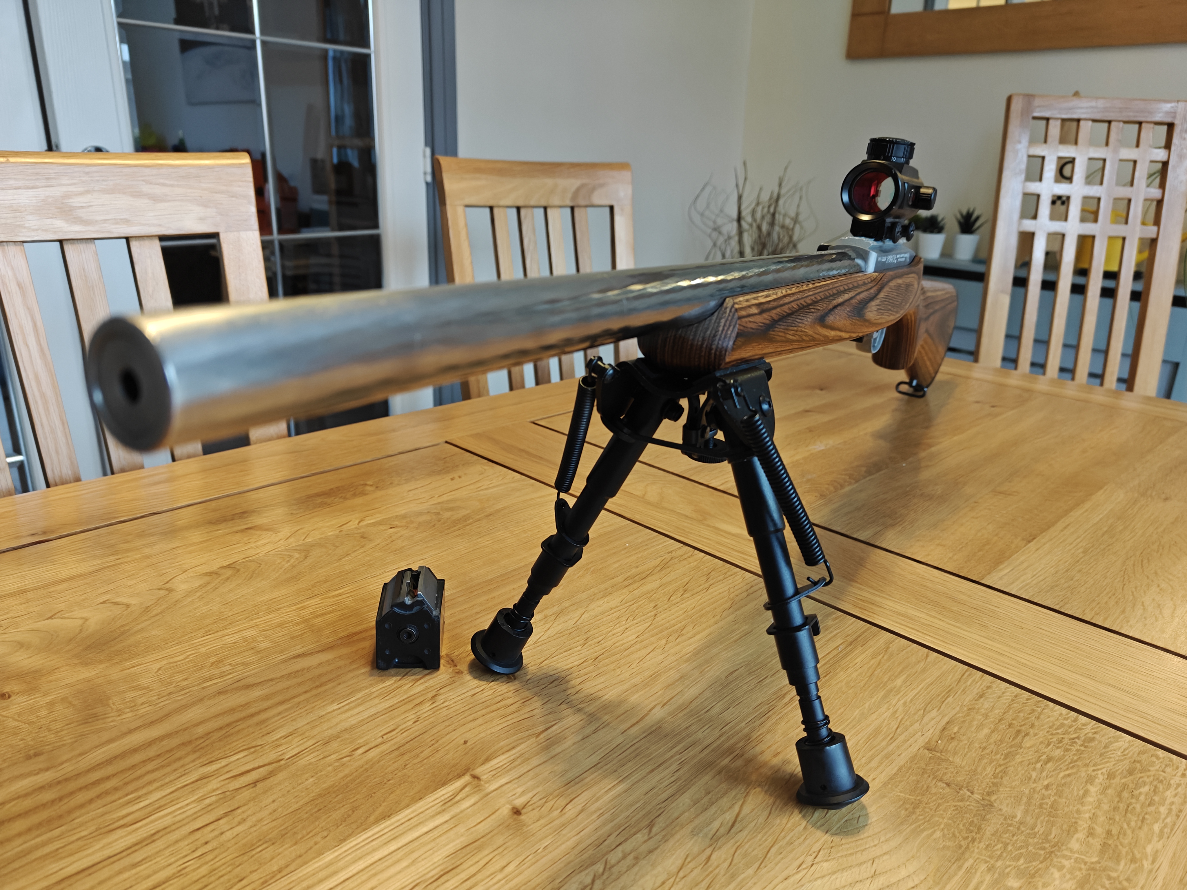 Ruger 10-22