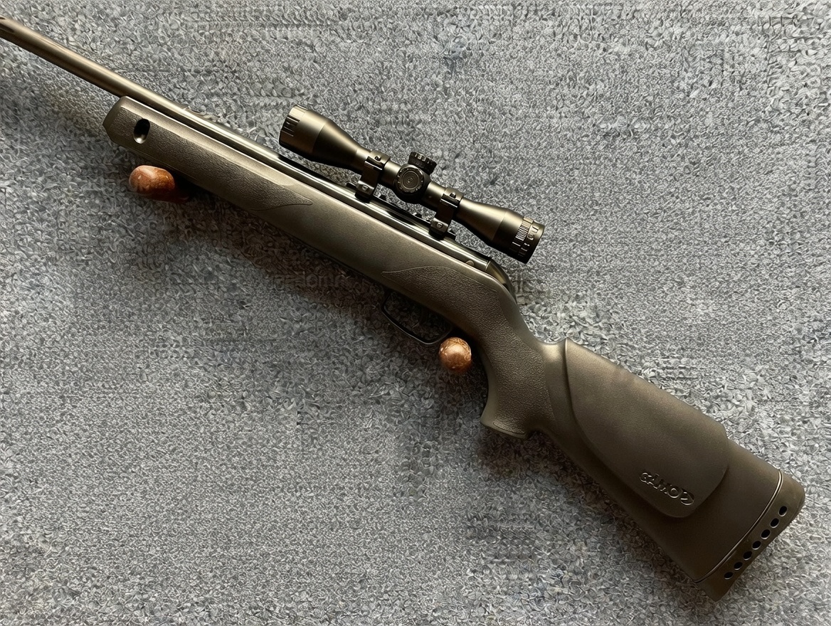 Gamo Whisper