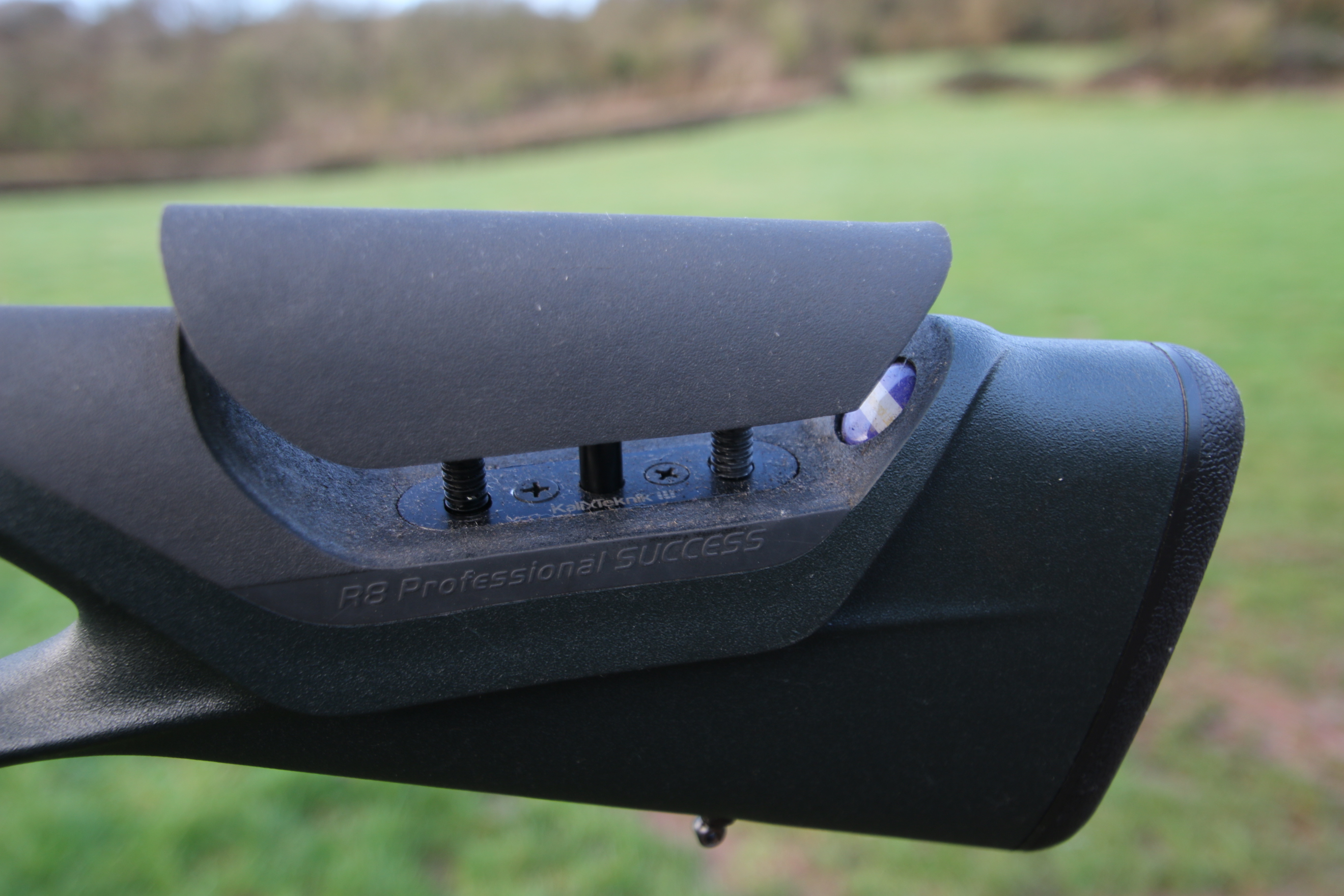 Blaser R8