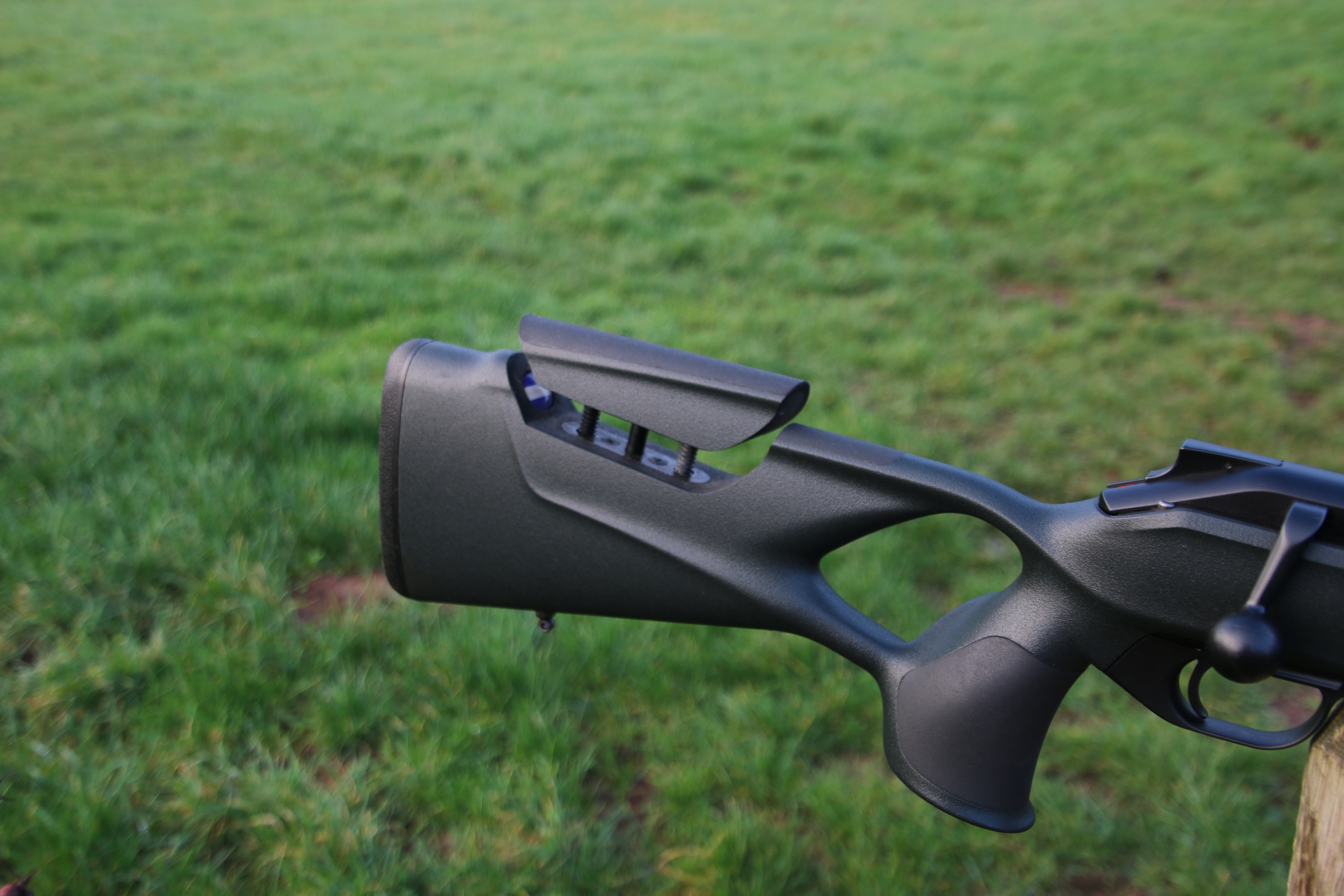 Blaser R8
