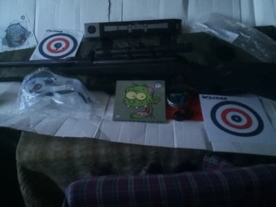 Firearm: Gamo Delta Synthetic