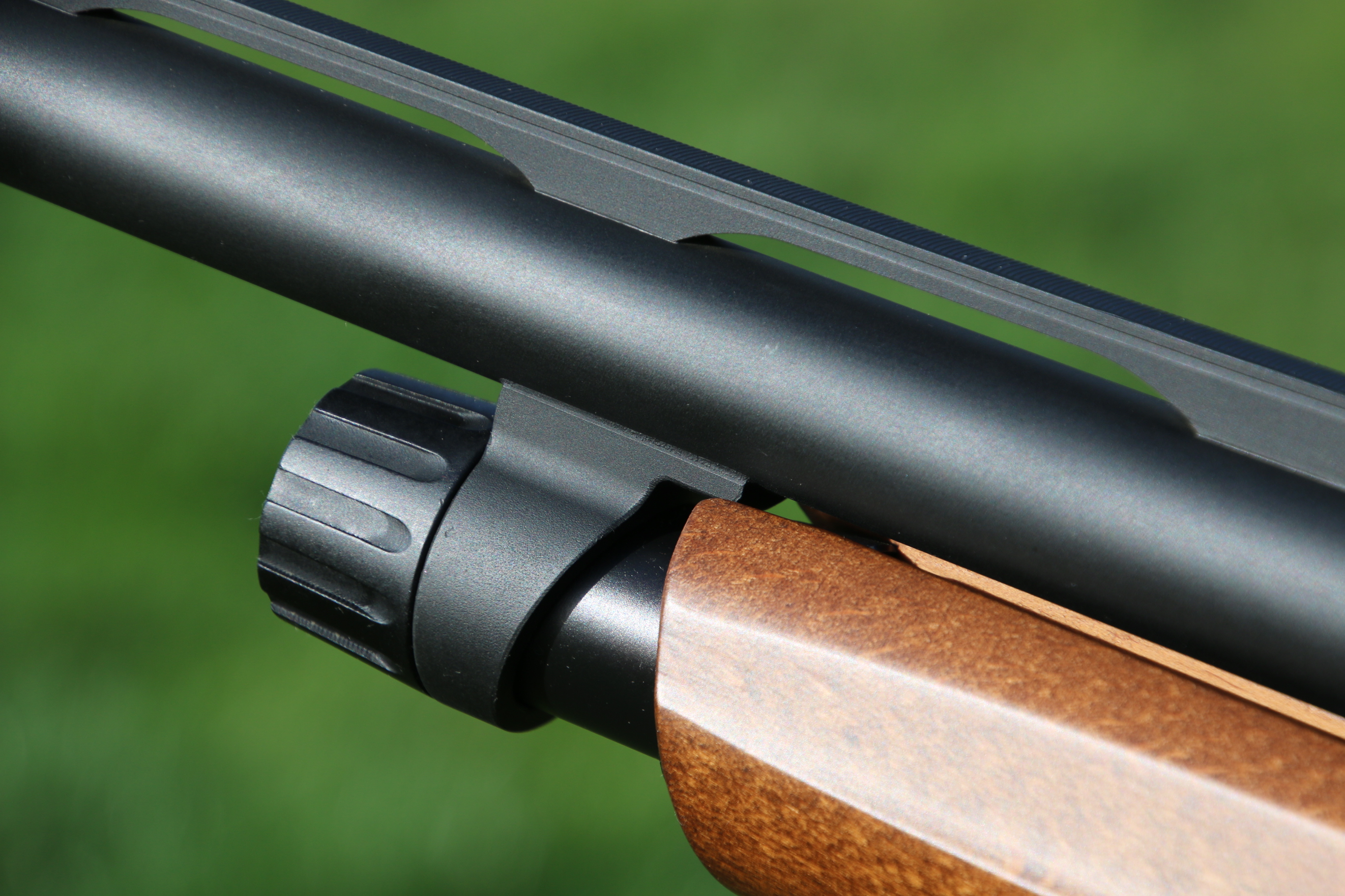 Winchester SXP