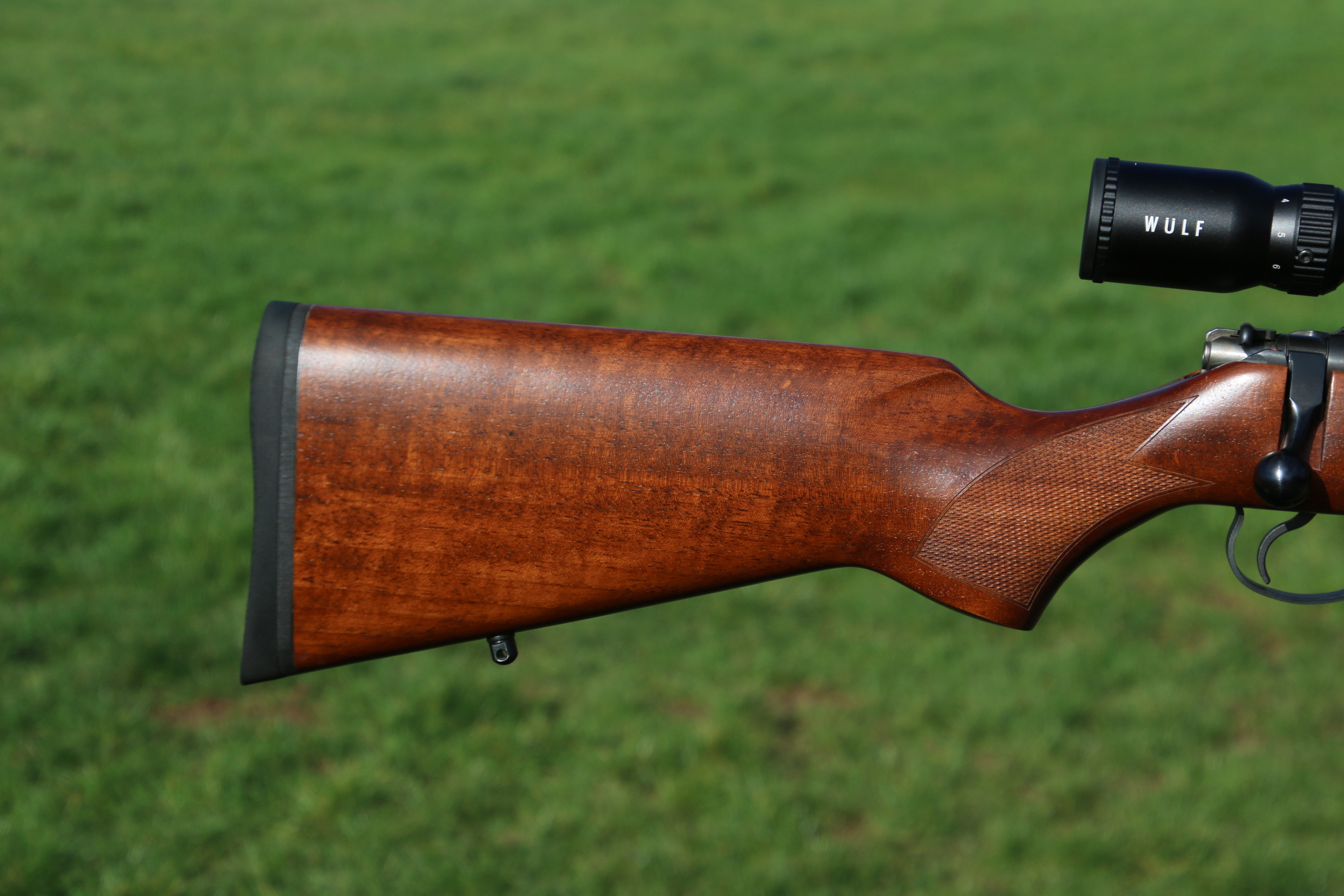 CZ 455